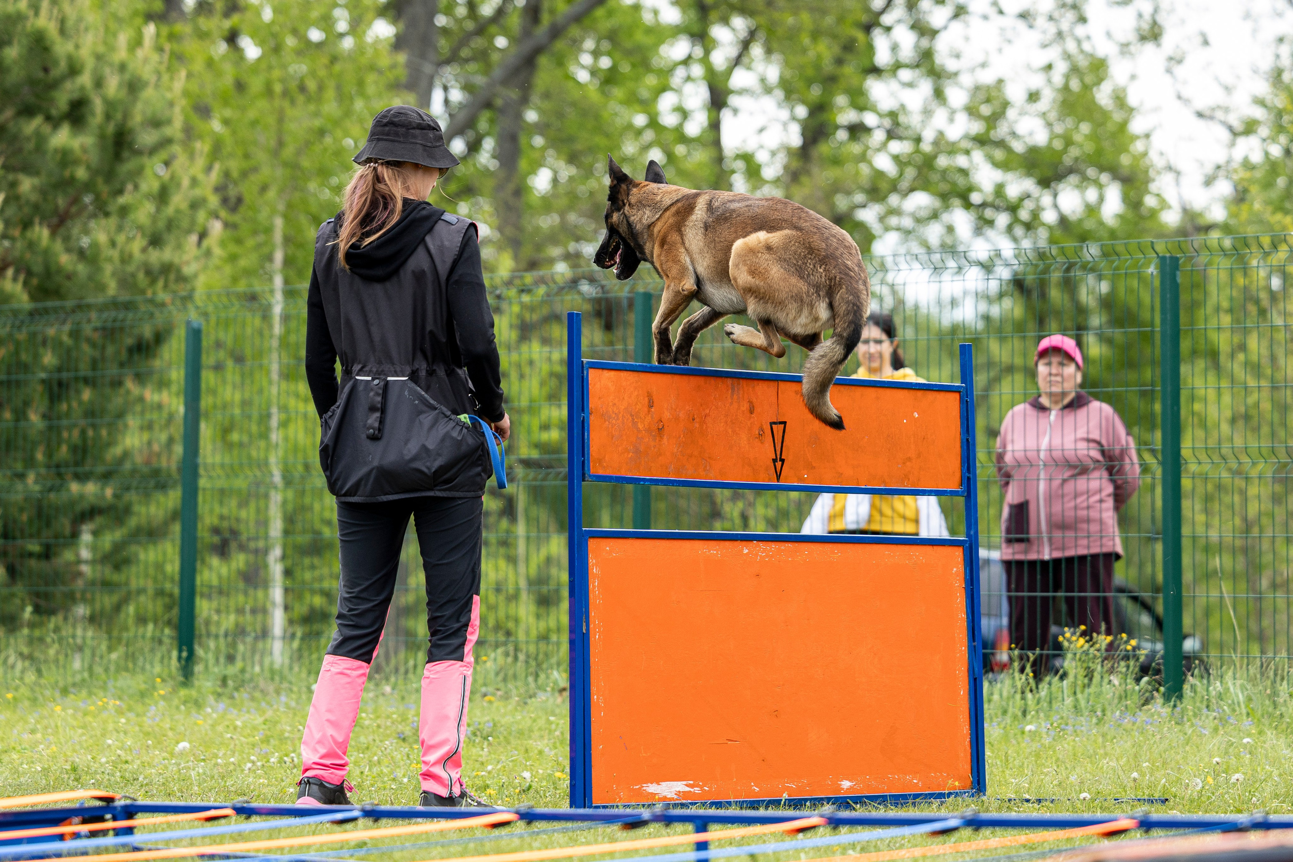 Испытания по мондьорингу в Нижнем Новгороде. Фотограф-анималист Анна Маринич