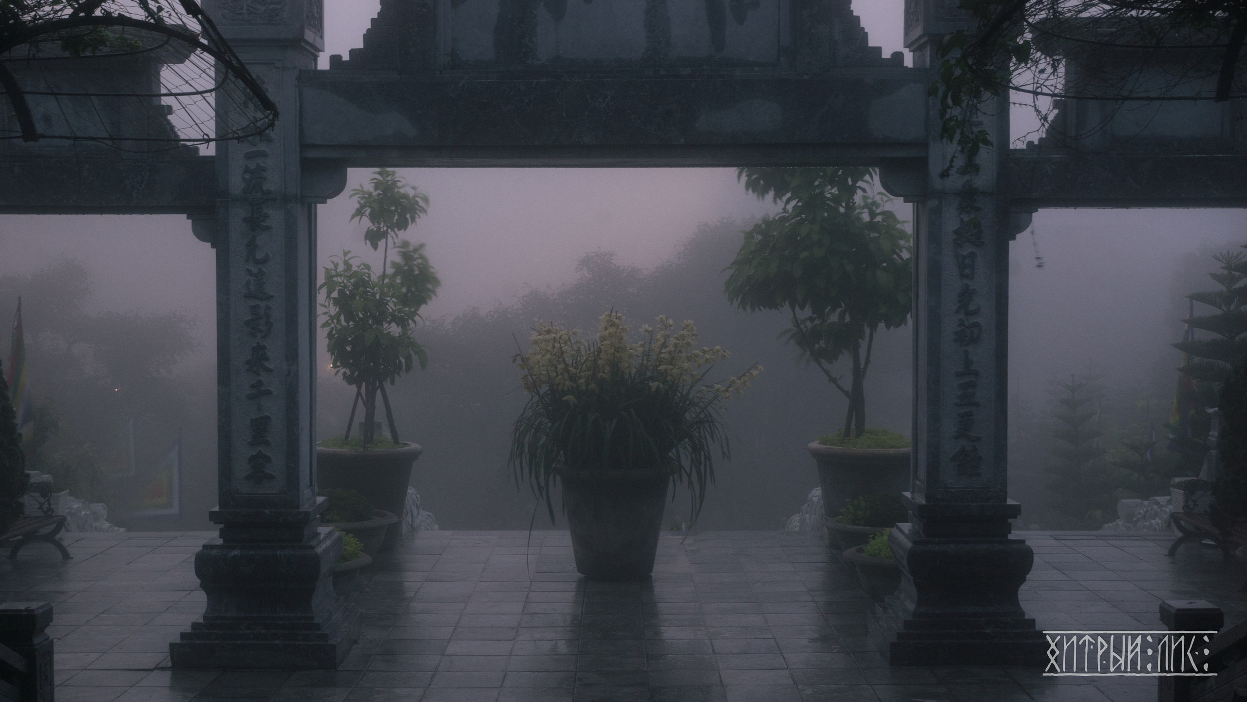 Вьетнам. Фотограф-путешественник Самойлов Максим «Sly Fox»