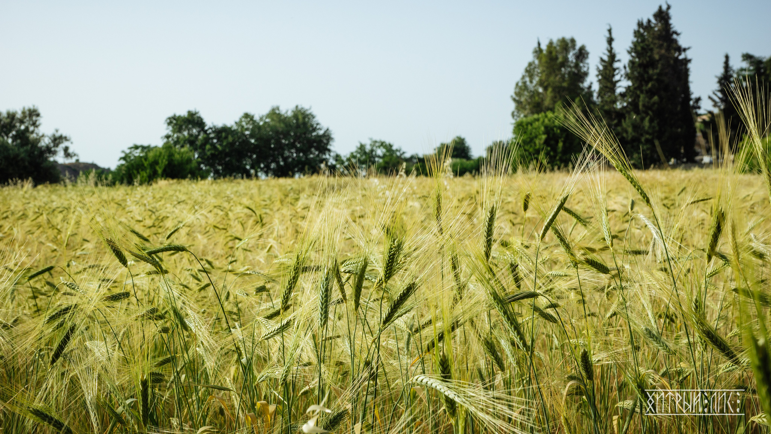 Кипр. Фотограф-путешественник Самойлов Максим «Sly Fox»
