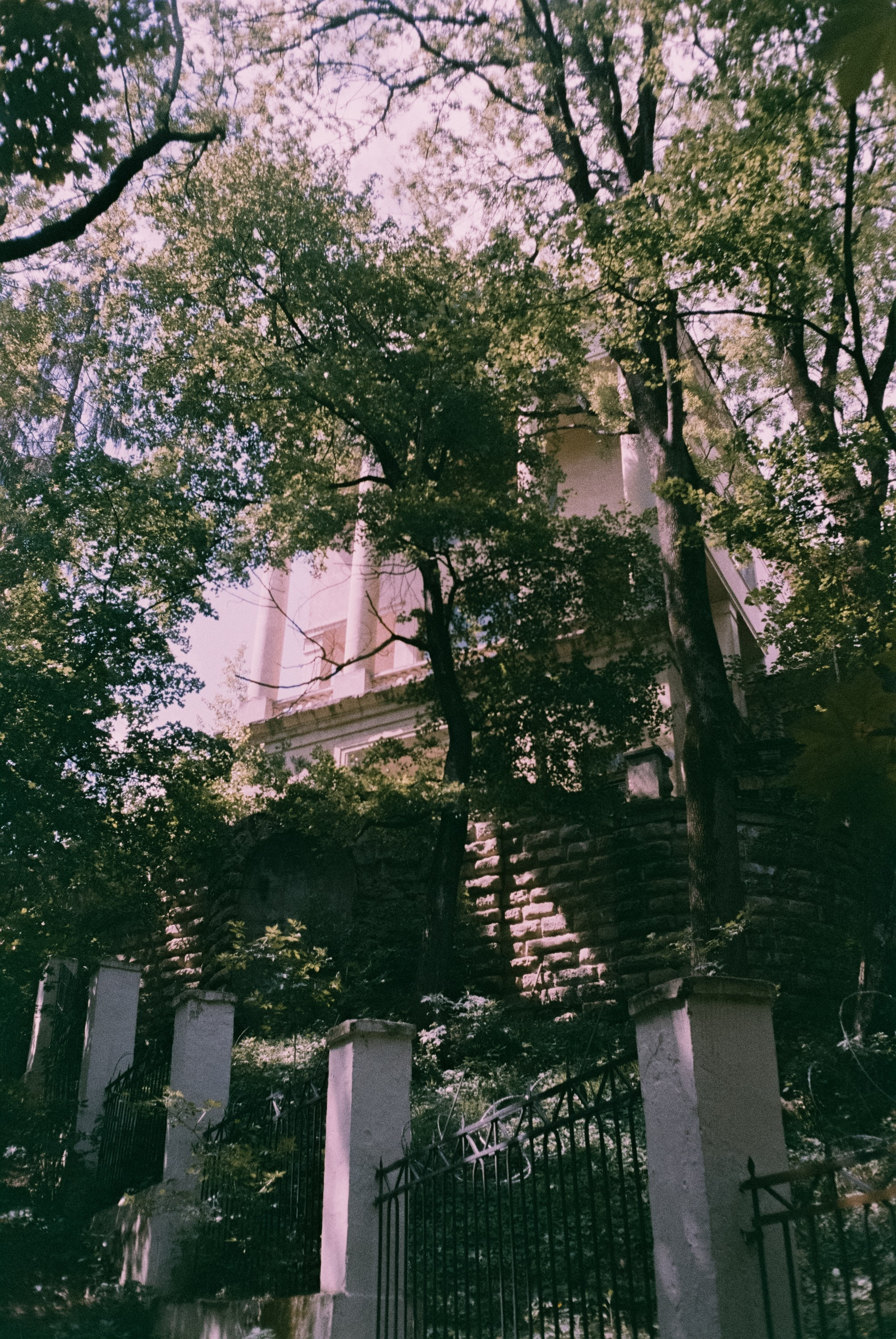 Кисловодск 11 мая / Fujicolor Superia 200 (просрочка) / Minox 35GT