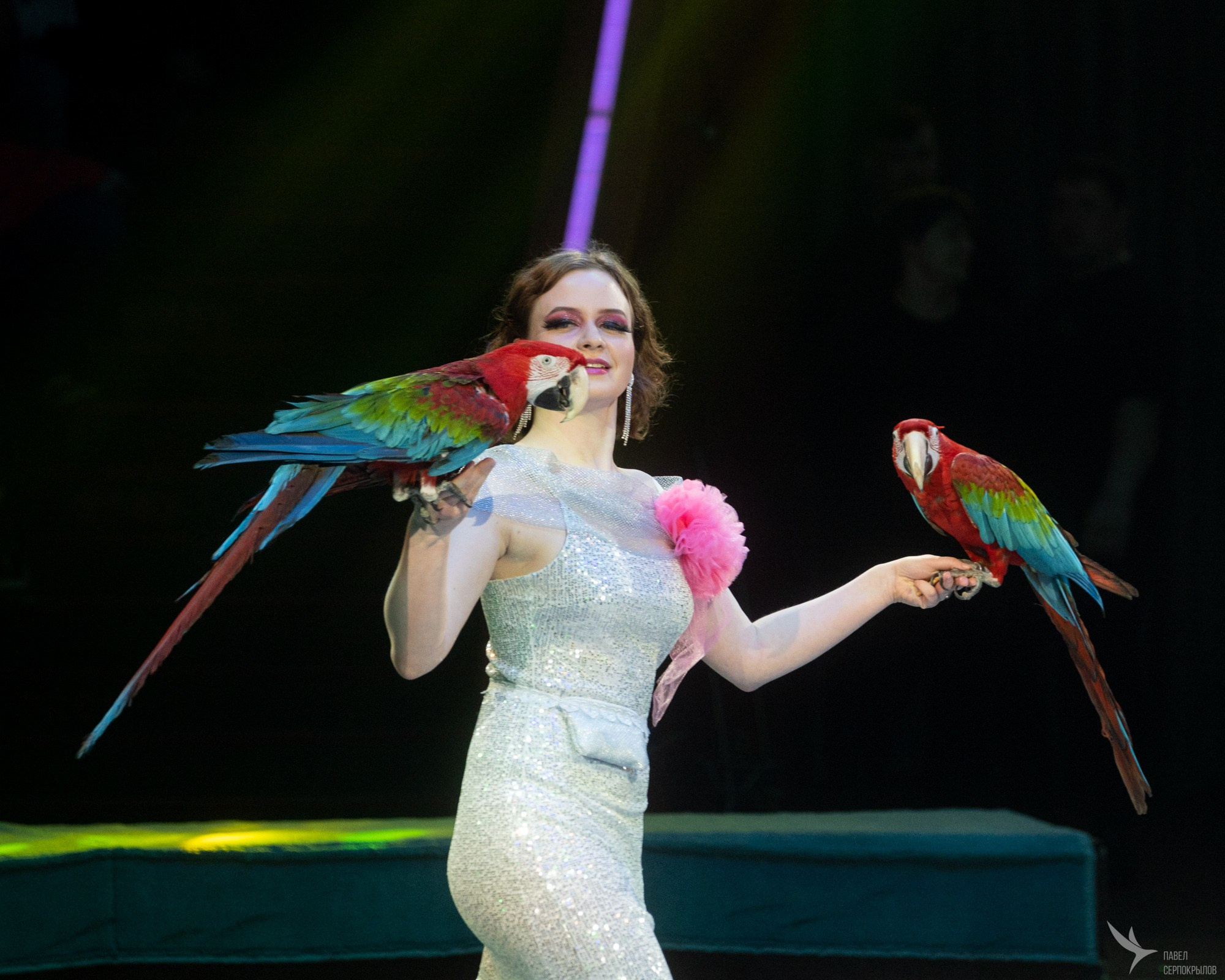 Гала-представление ЭВОЛЮЦИОНЕРЫ. Репортажный фотограф в Казани Павел Серпокрылов