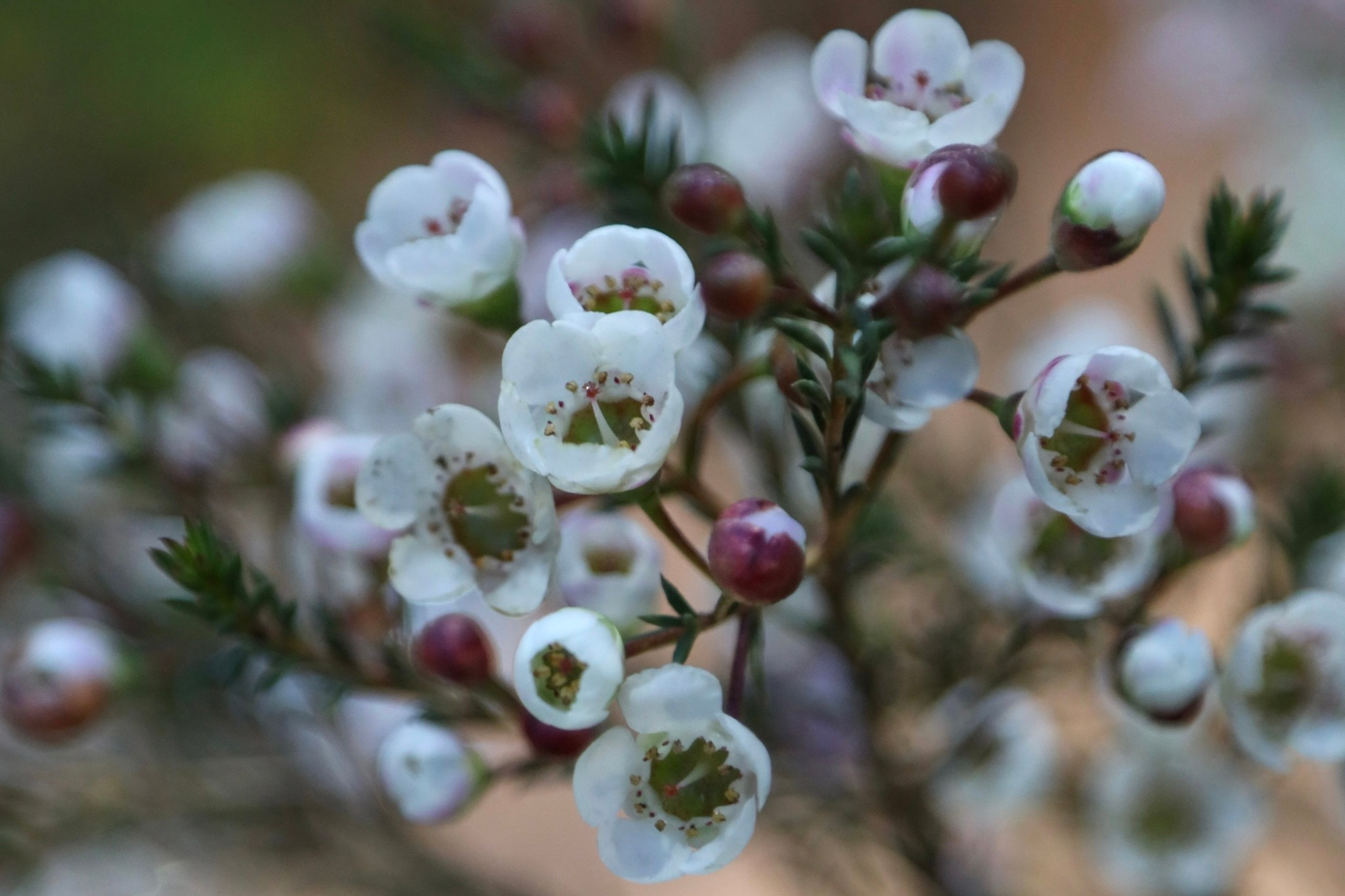 Фотографии с выставки Репетиция весны. Фотосессии и репортаж — Фотограф в Москве — Рина Серёгина
