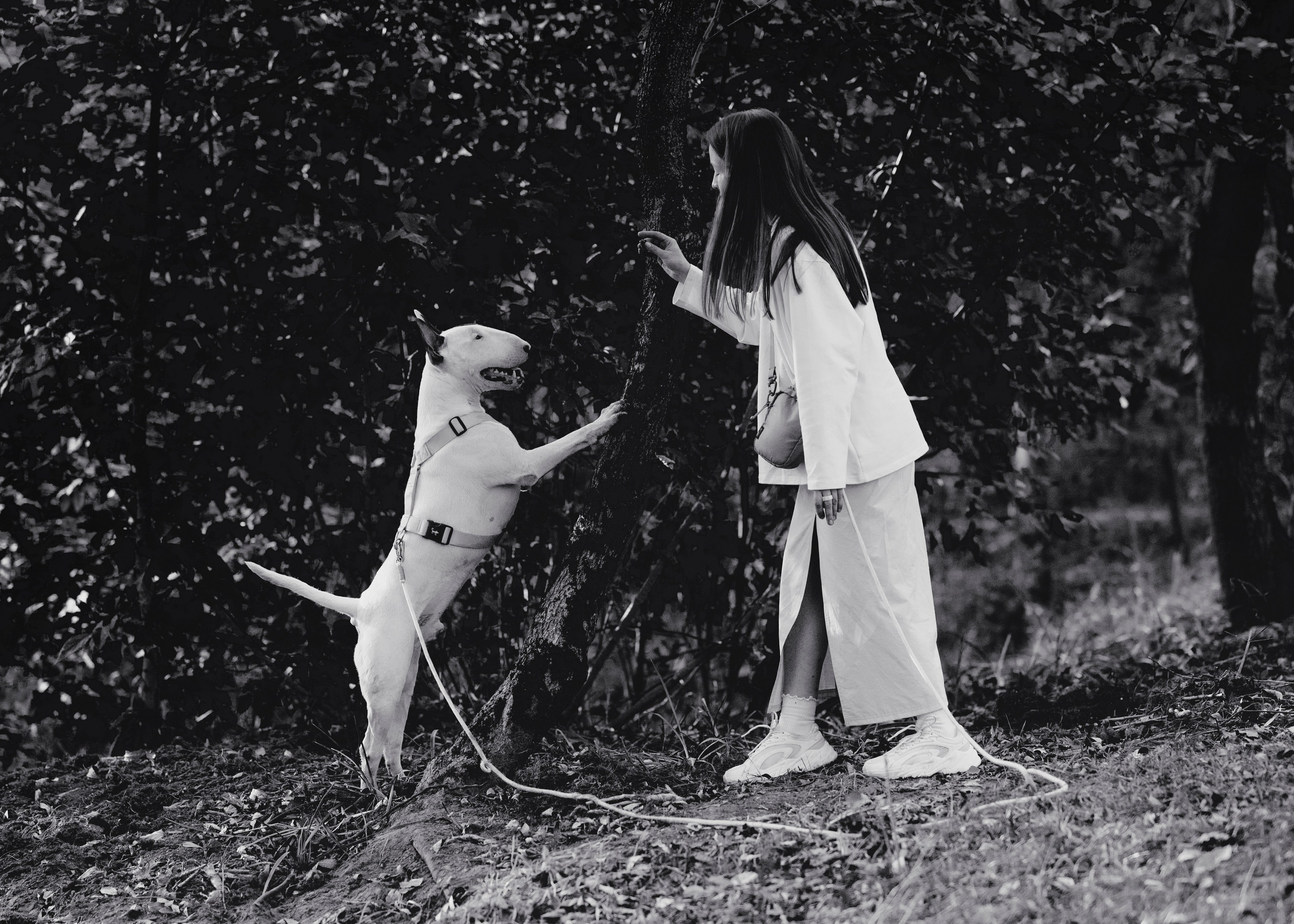 Фотограф- анималист Александра Матвеева