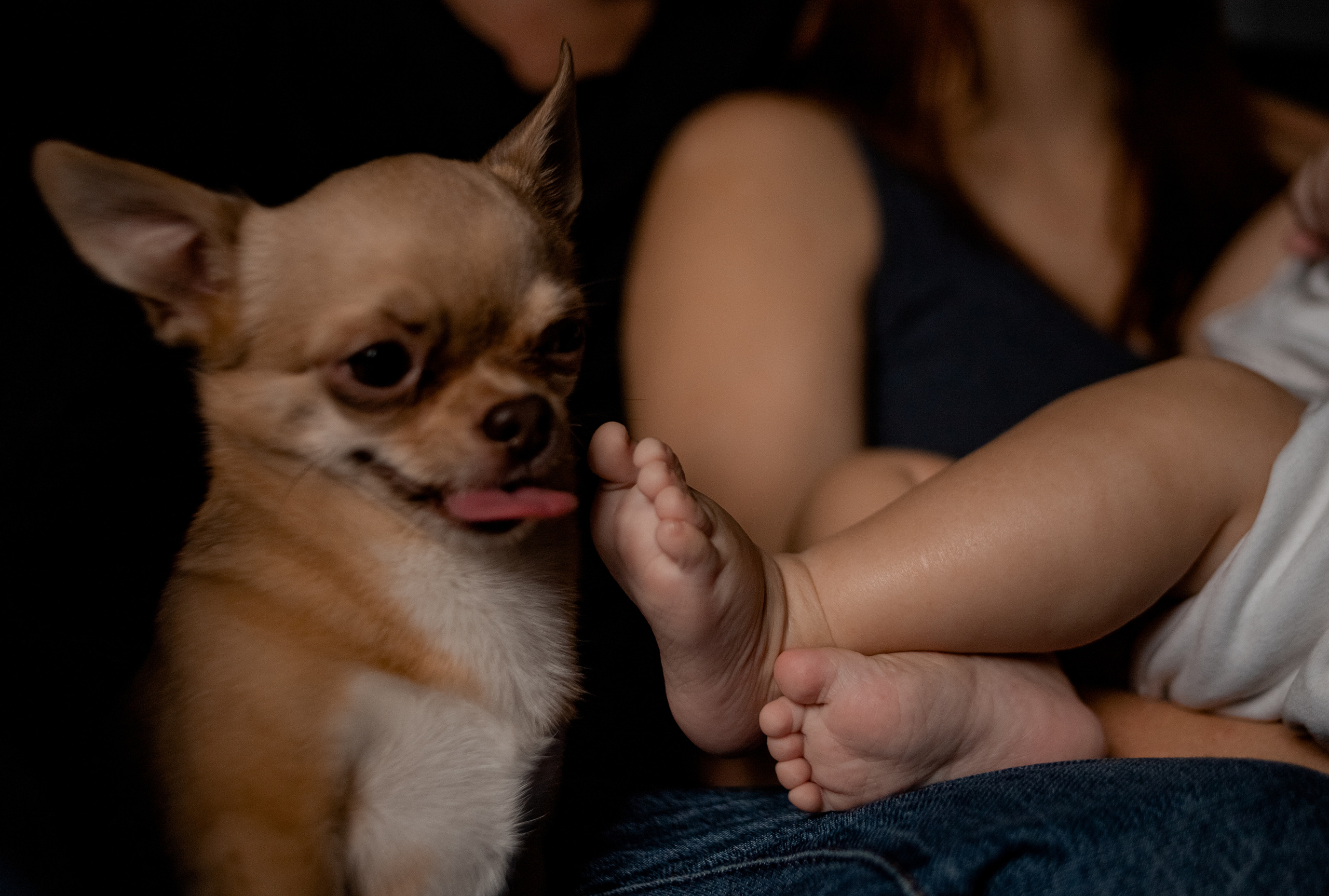 Владимир, Настя, Игорь. Фотограф беременности и материнства в Москве Мария Менендес-Гонсалес
