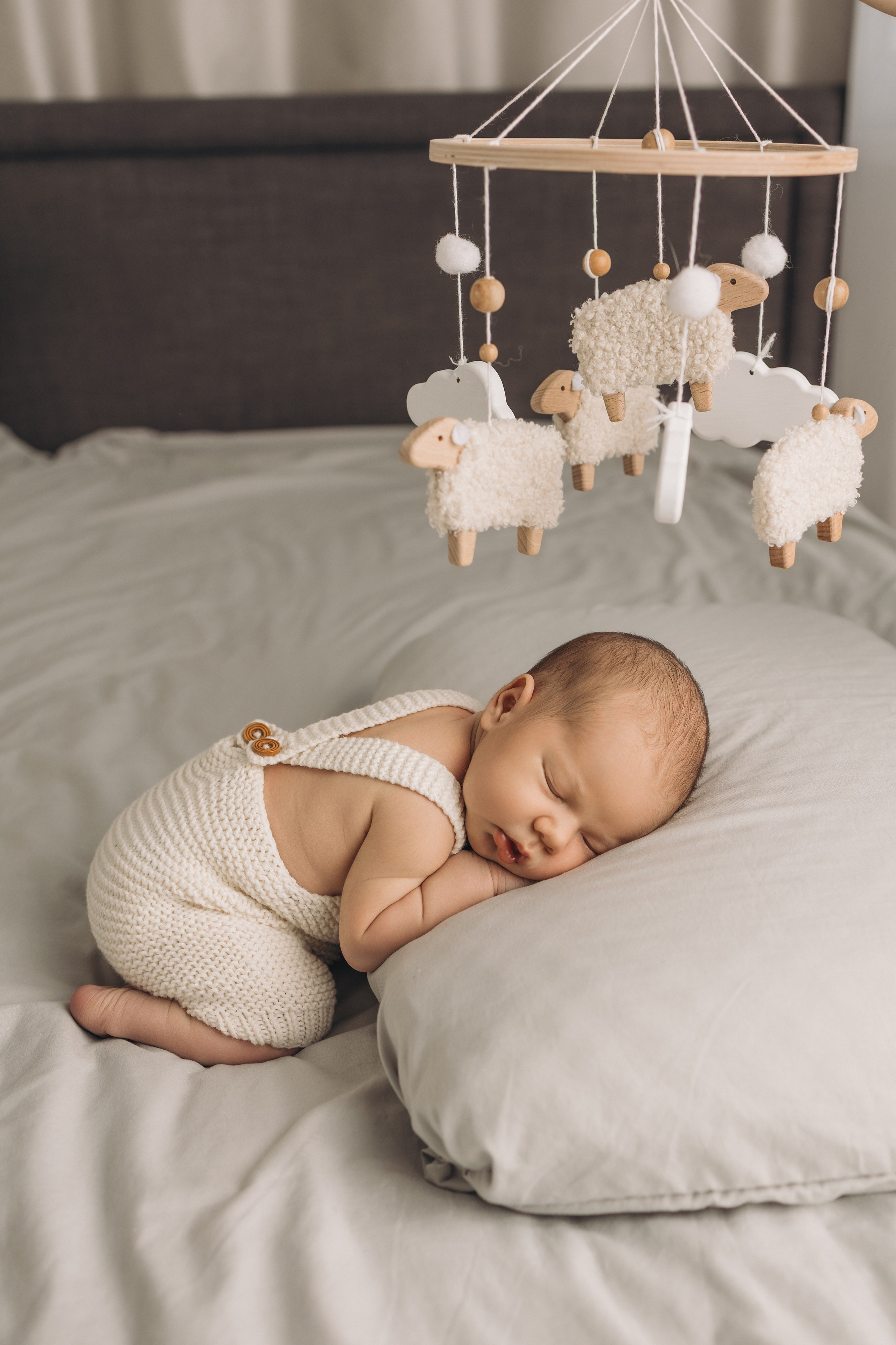 Лев 7 дней. Фотограф новорождённых Newborn Москва