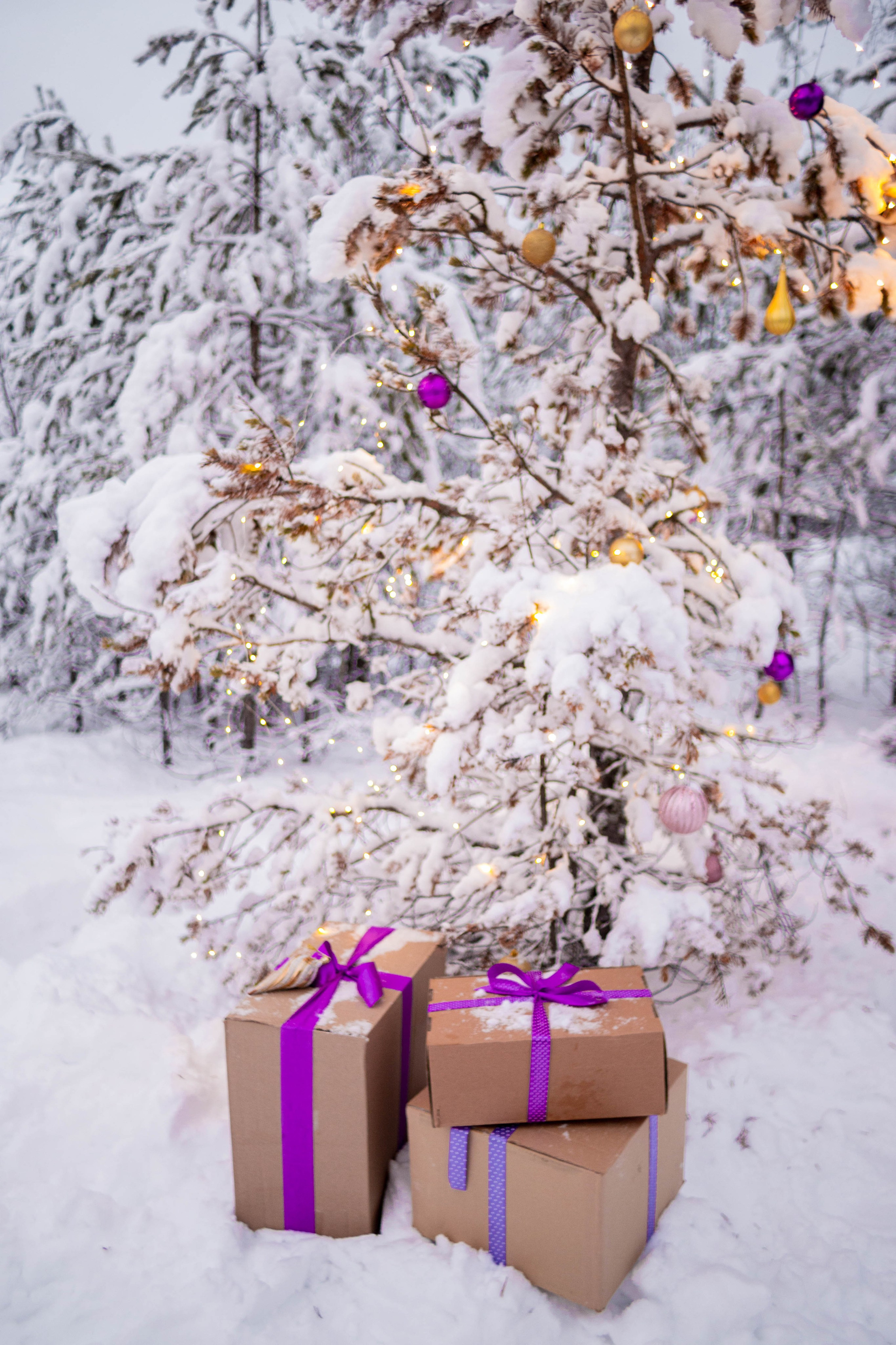 Новогодний 2021-2022. Фотограф Екатерина Шишкина. Питкяранта. Карелия