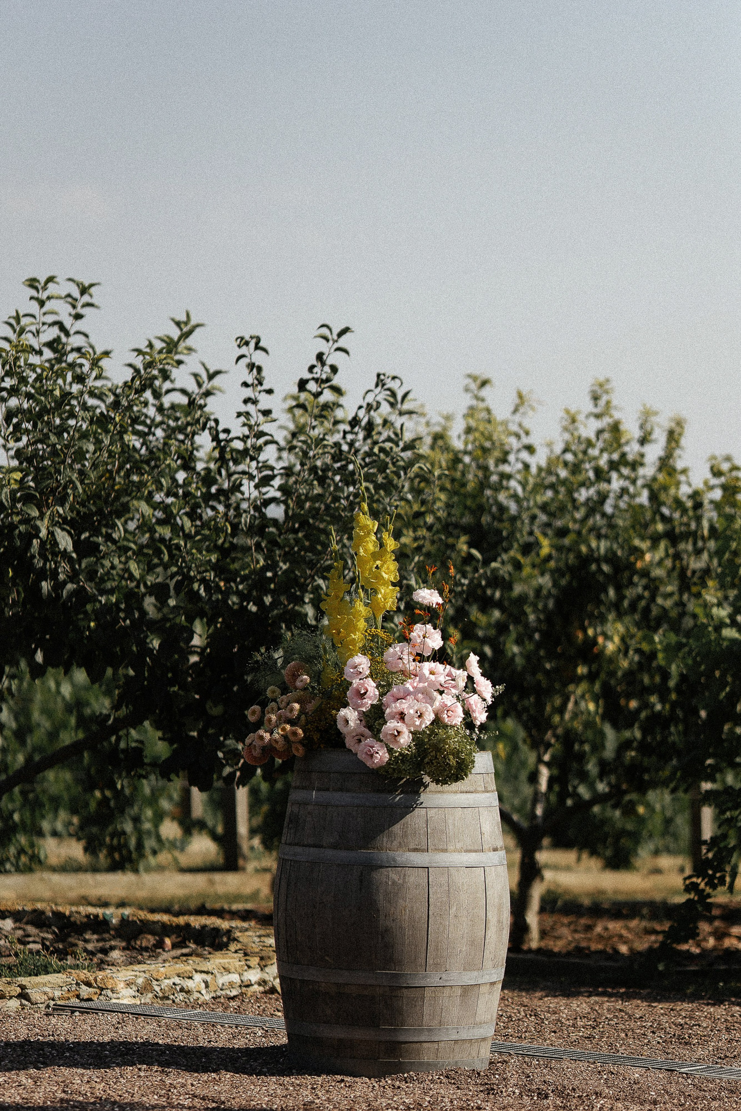 Побеждает любовь (Винодельня Пестиковых). Свадебный фотограф Ольга Ермакович