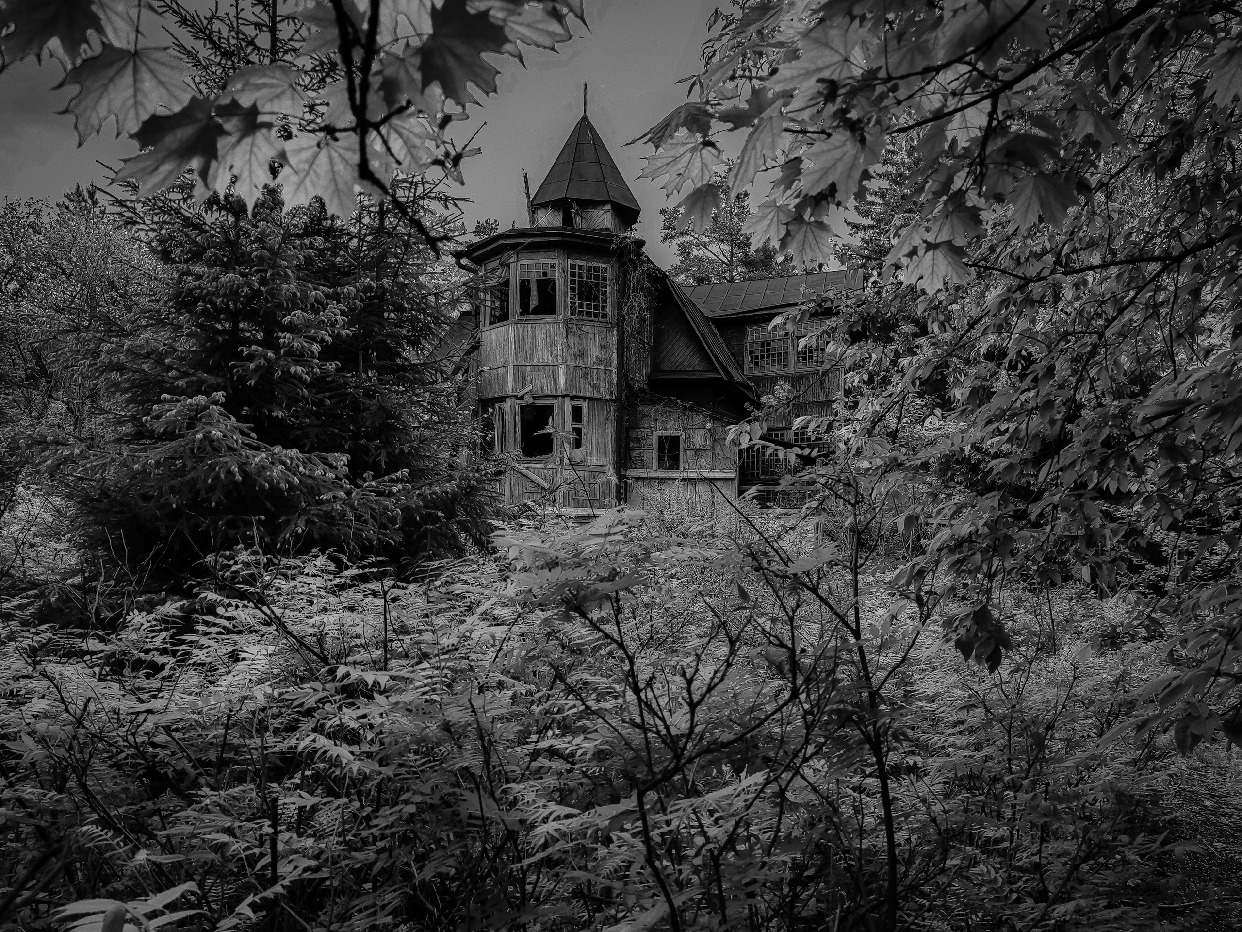 Стрит-фото. F.O.xygen