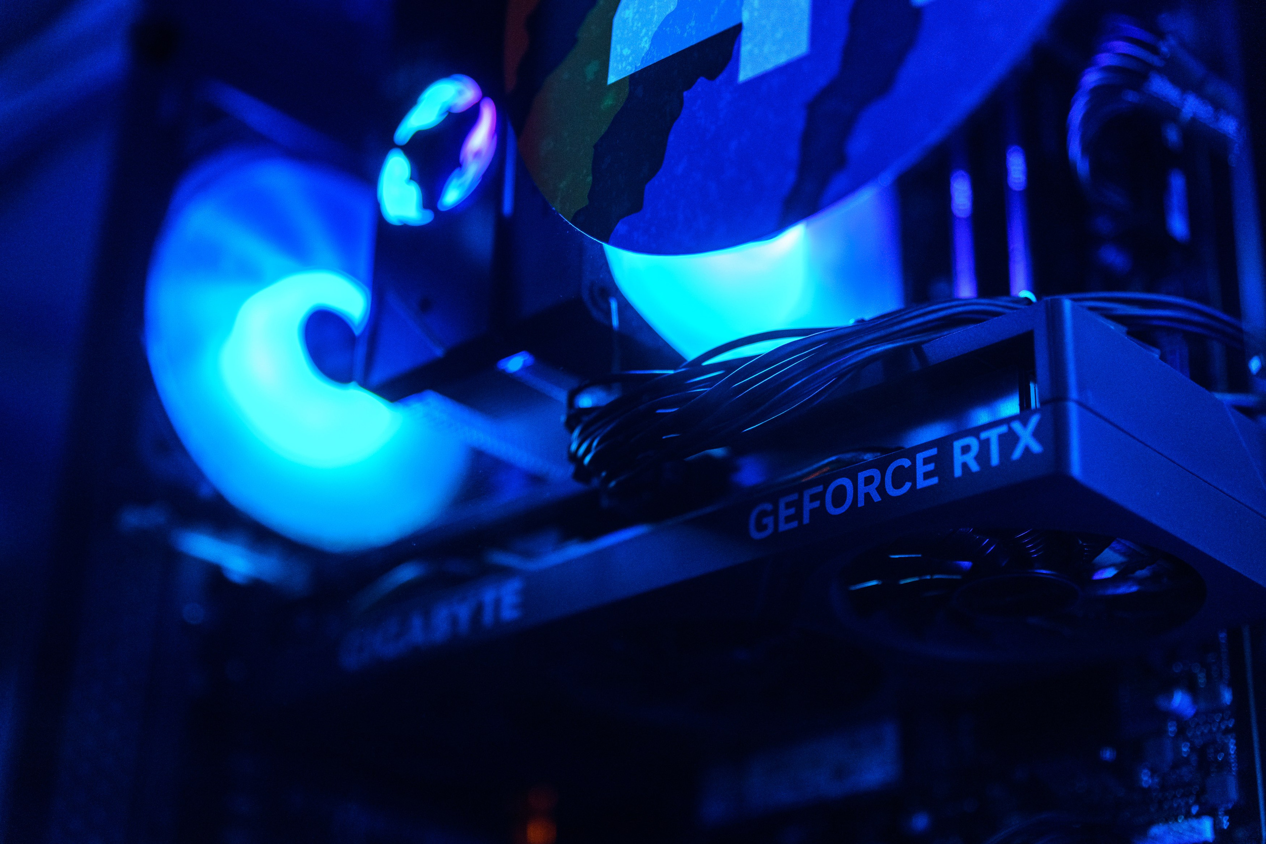 Интерьерная. Кибер Прайд. Женский фотограф в Санкт-Петербурге Степлевич Дарья