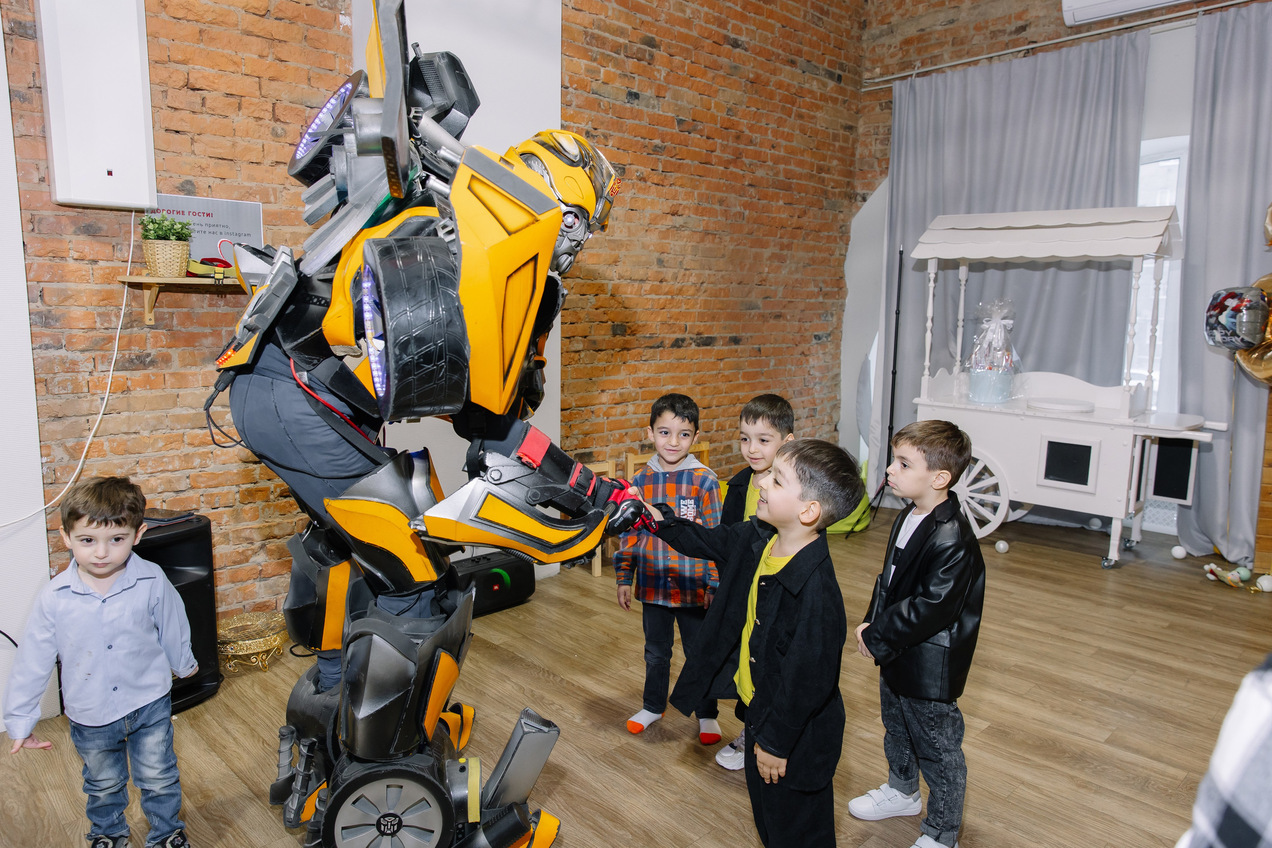 День рождения Эрика и Эмиля 6 лет. Свадебный фотограф в Новосибирске Лидия Александровна