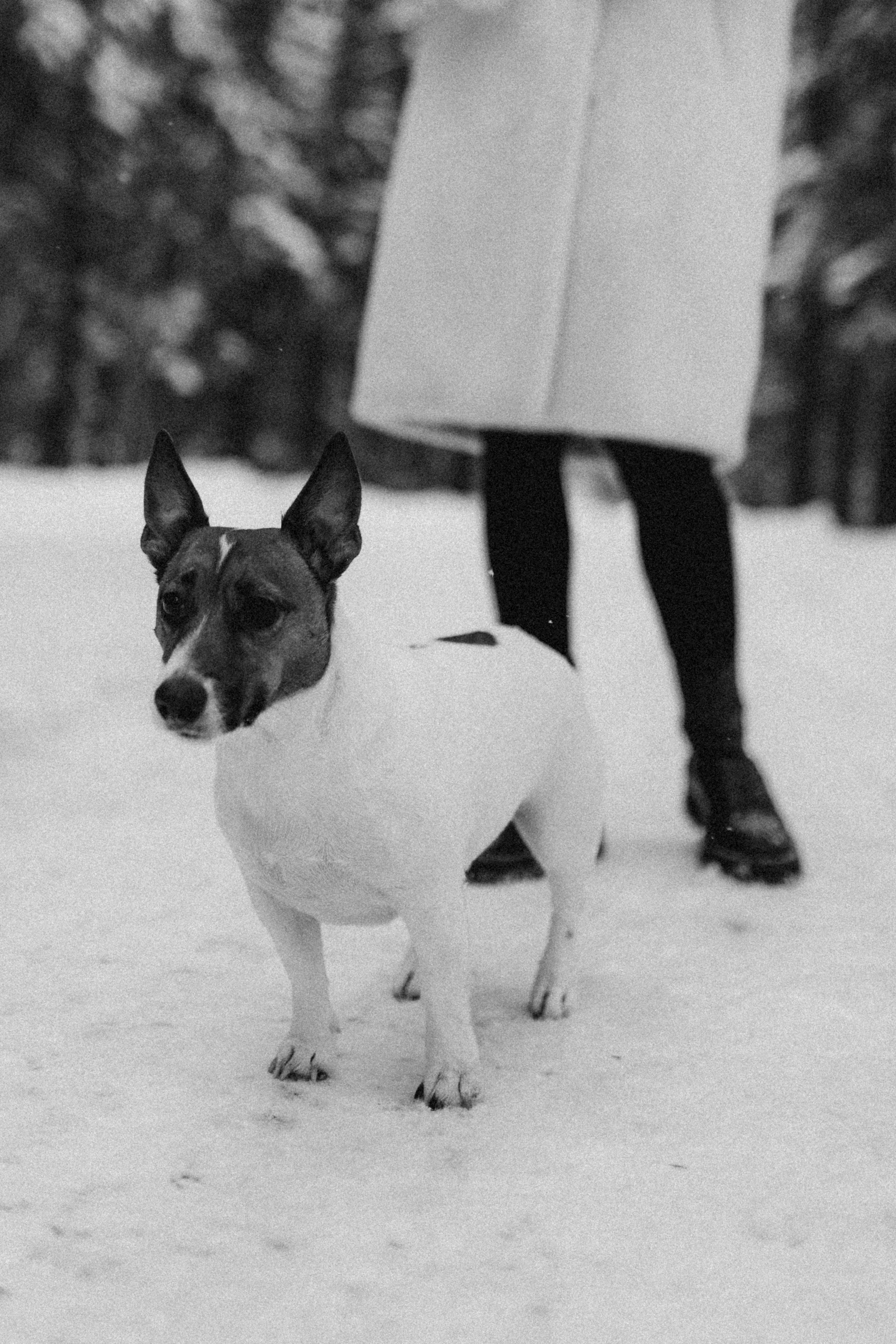 Настя & Надежда. Фотограф НОГИНСК, Москва, Анастасия Белая
