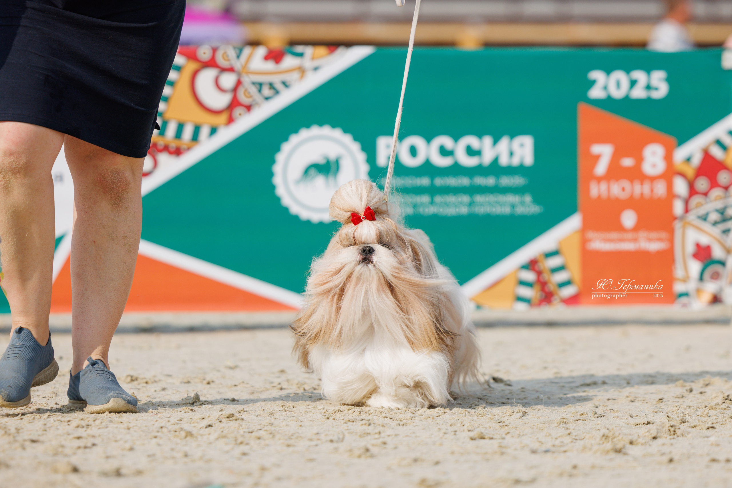 РОССИЯ 7-8.06.2025. Фотограф-анималист Юлия Германика