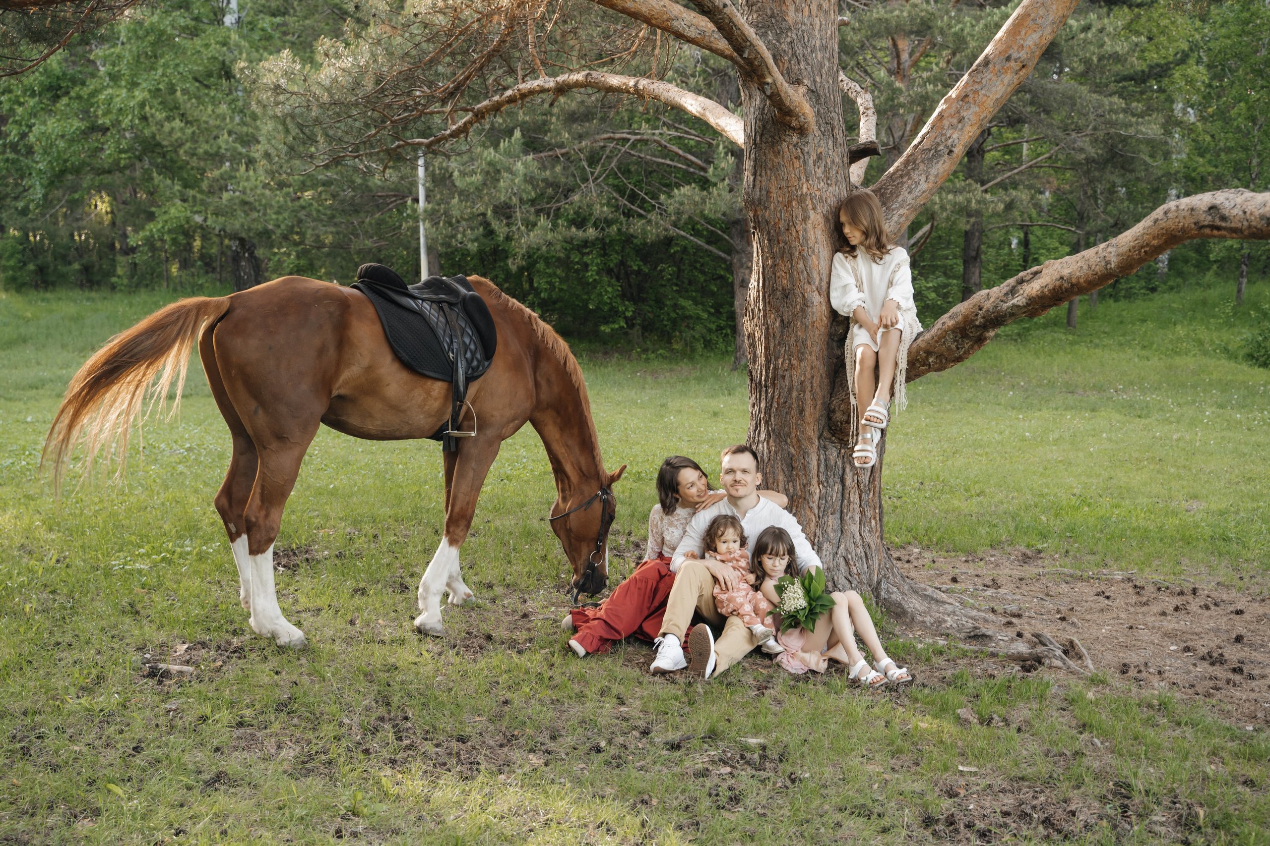 Семейная история с лошадьми. Главная