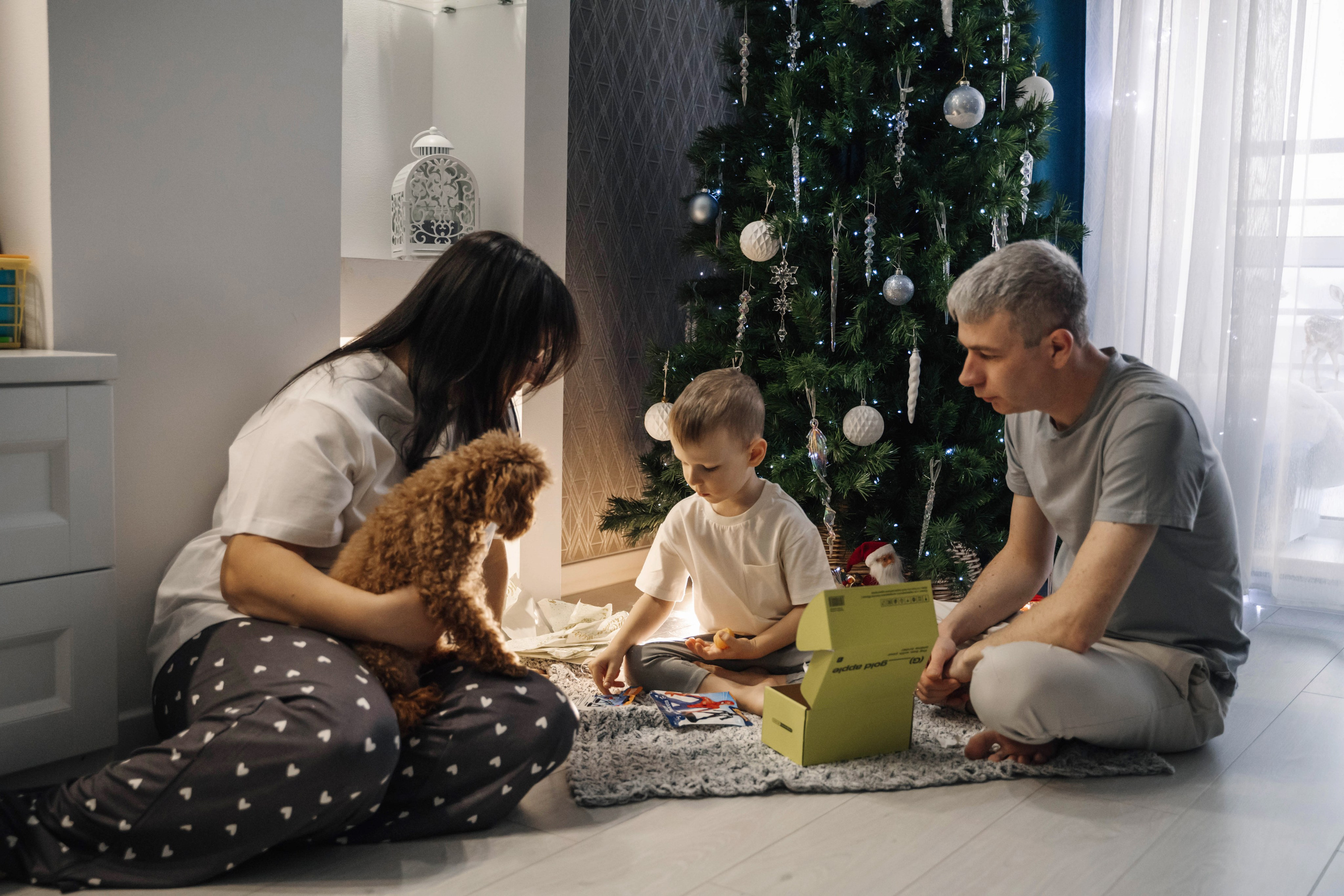 Предновогодний вечер. Главная