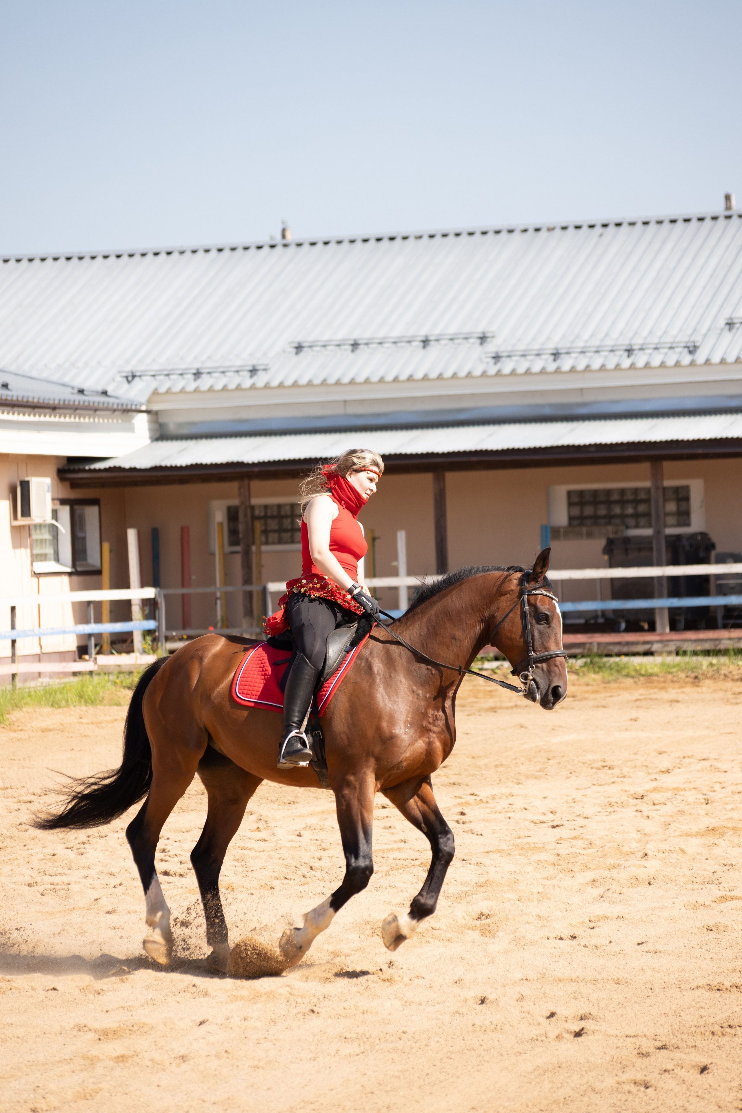 Конюшня. Фотограф в Москве и Истре