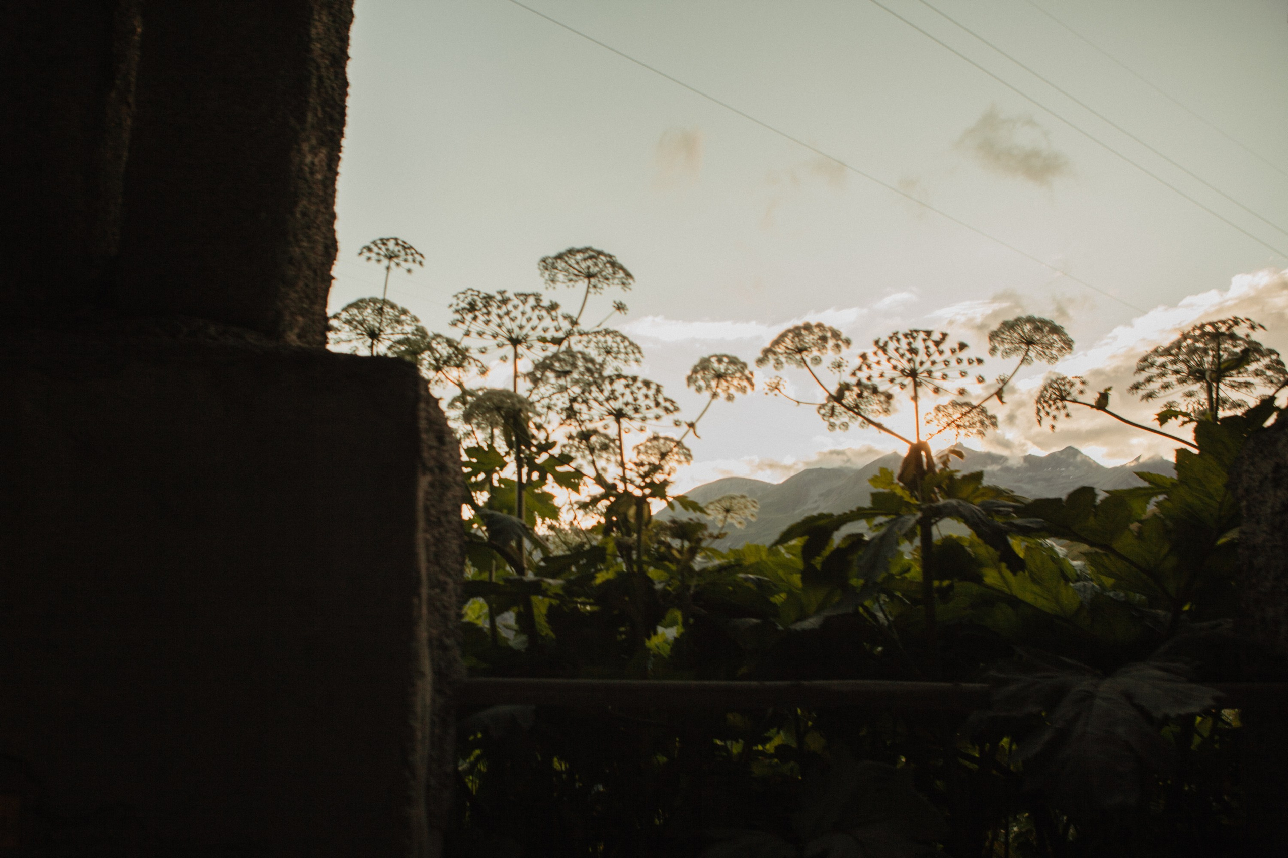 Грузинские каникулы. Violetta Skripka