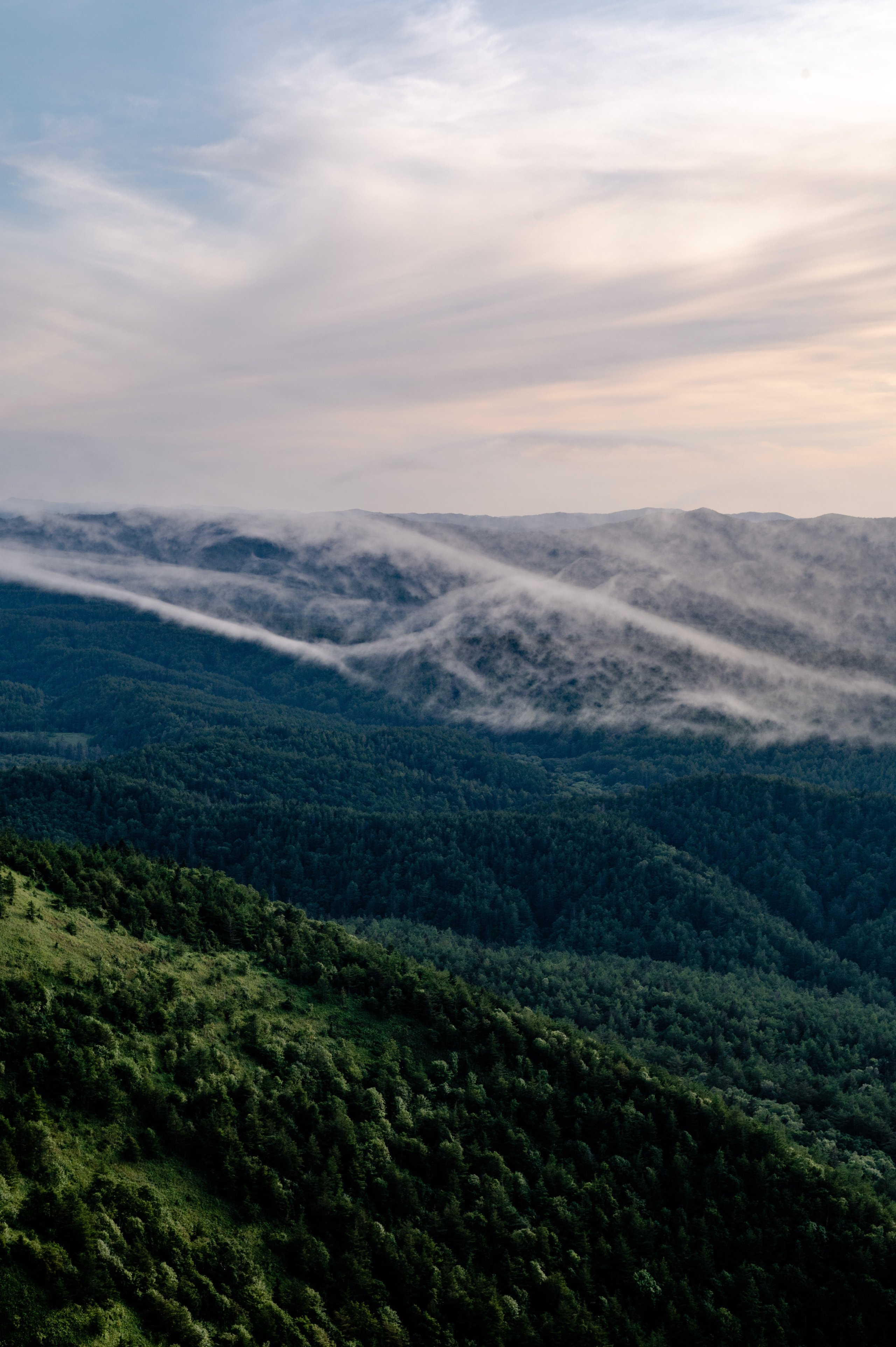 Отзывы. Семейный и детский фотограф в Хабаровске Матюшкова Екатерина
