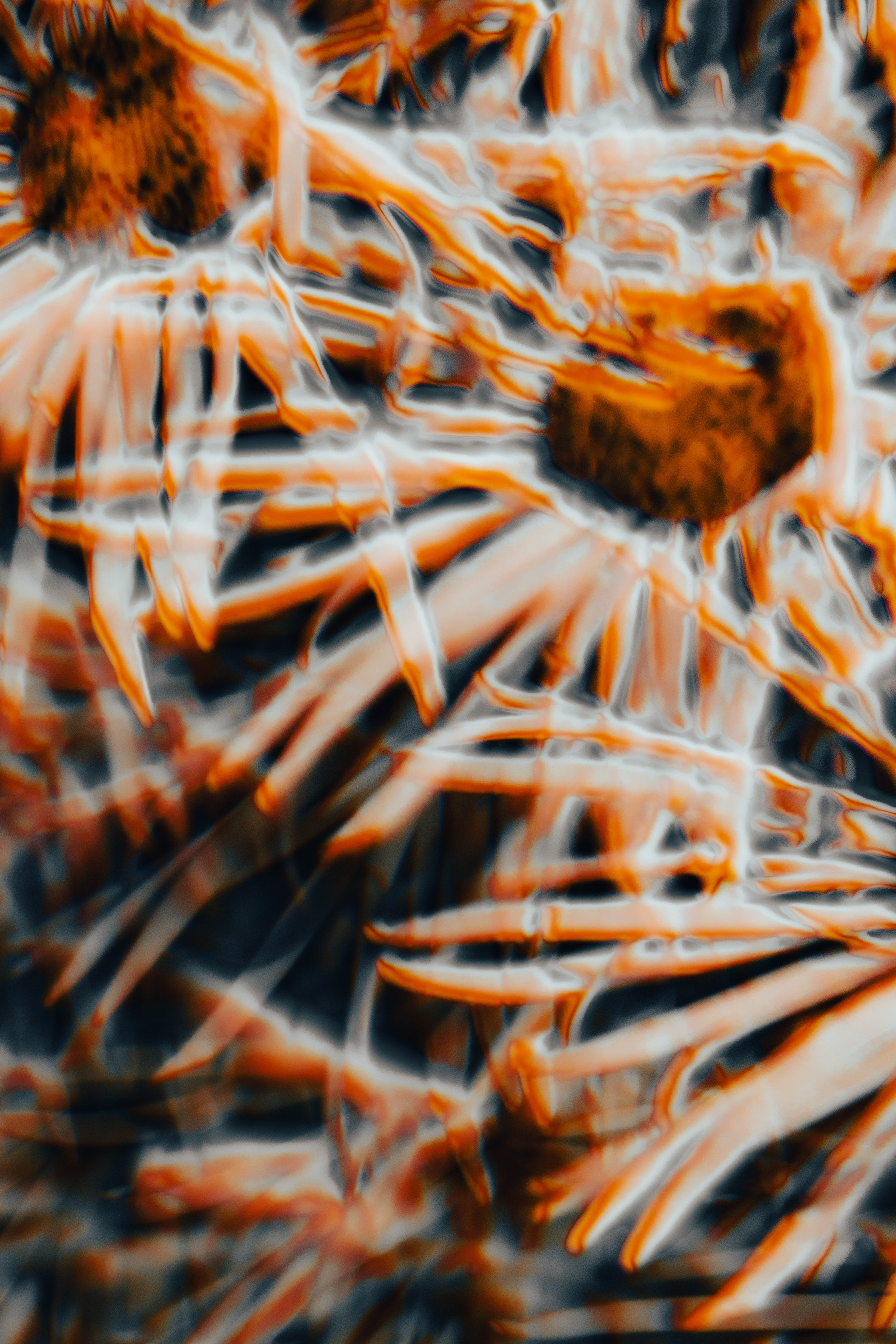 Абстракции | Вероника Вербицкая. Вероника Вербицкая | Фотохудожник в Дублине