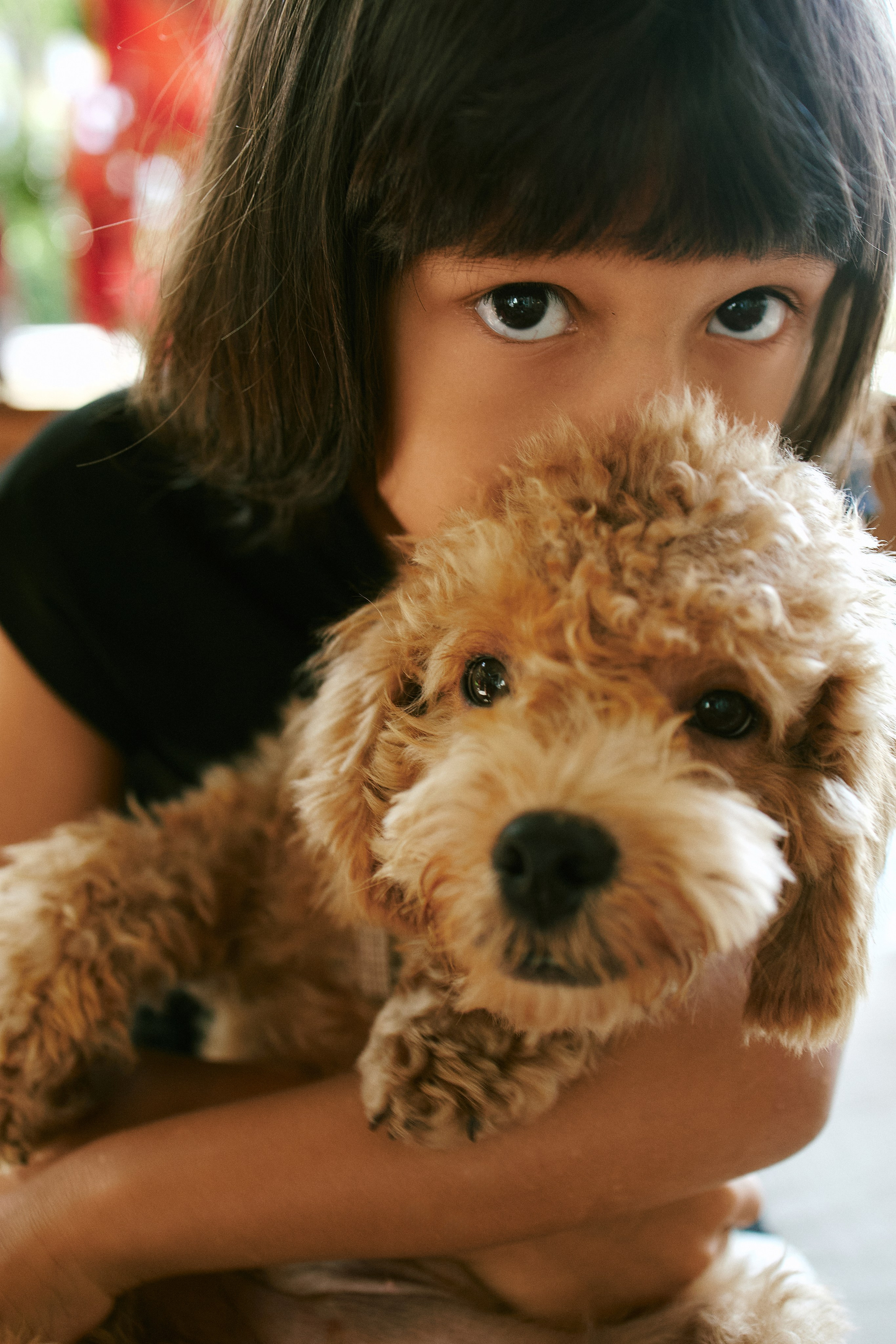 Family. Photographer in Nha Trang — Dani Prokopenko