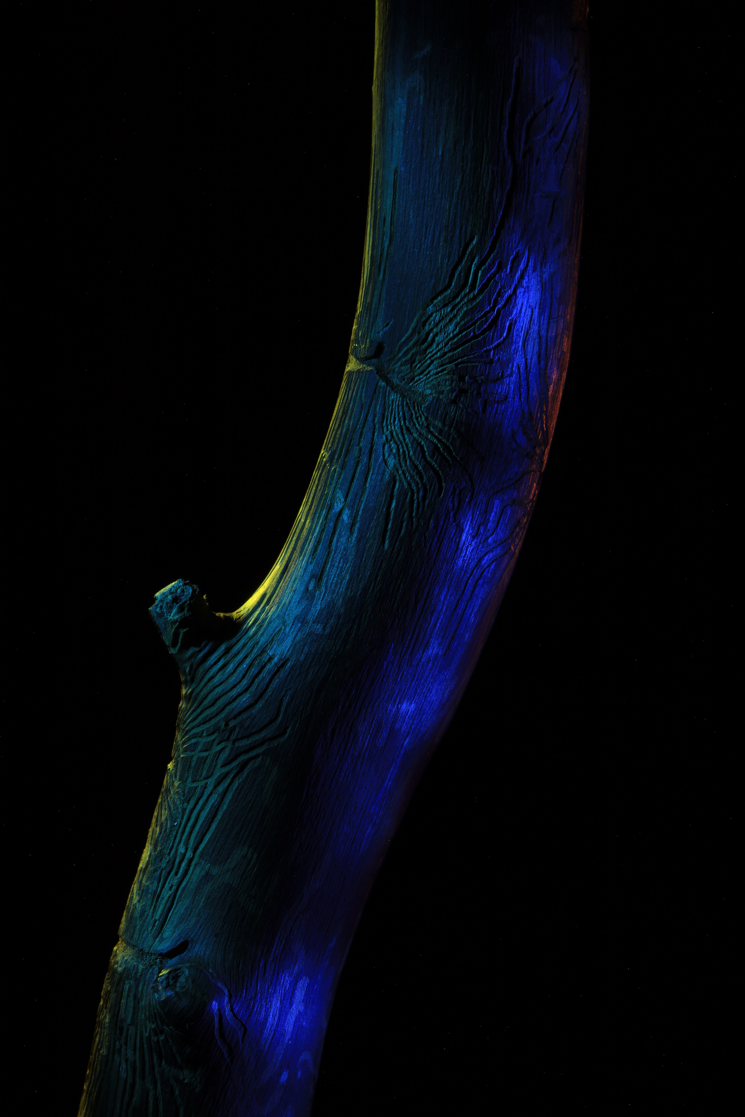 «Красок Тьма Полна». Арт-фотограф во Владивостоке Дмитрий Осипчук