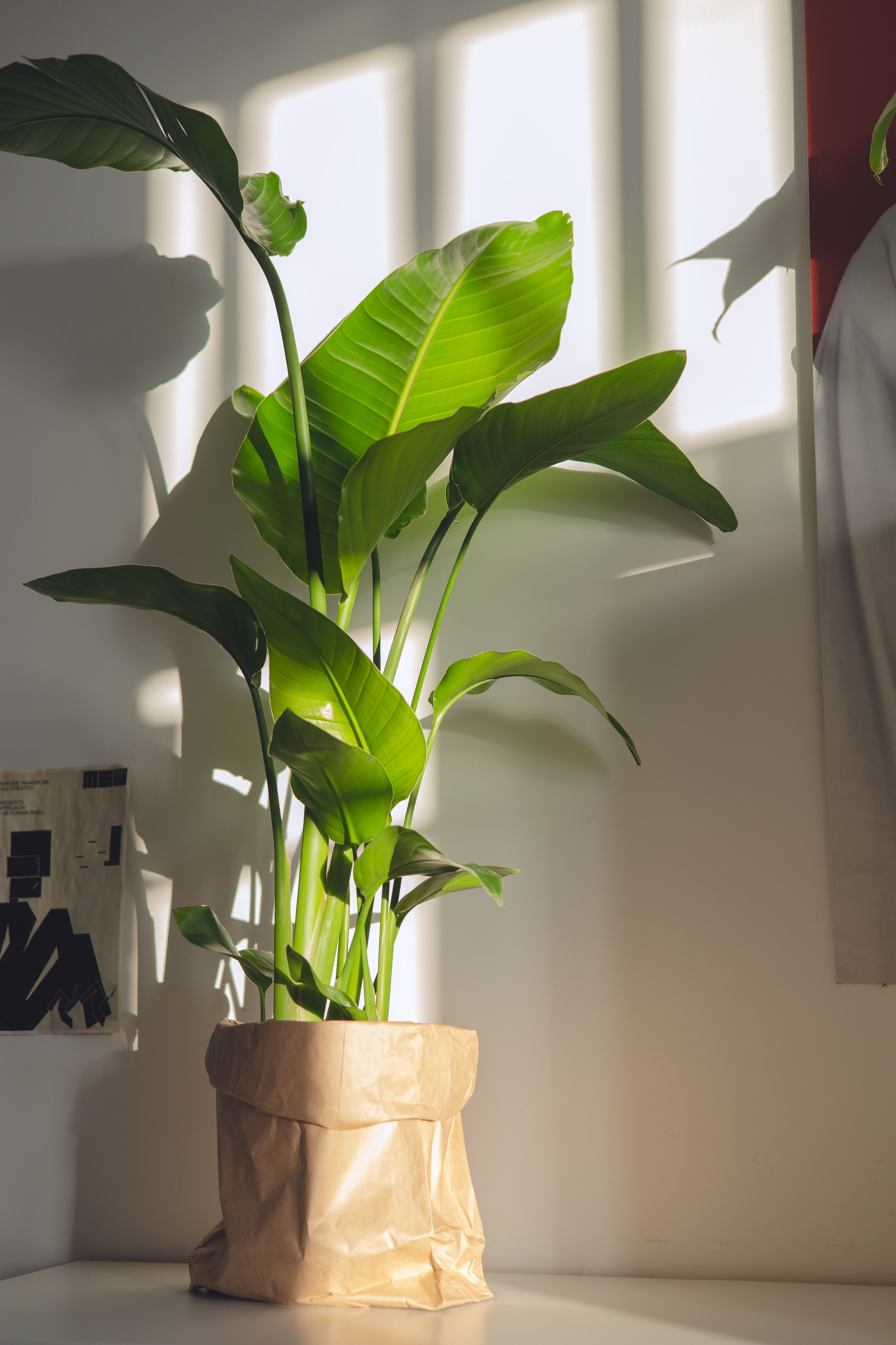 Предметная съемка для бизнеса. Фотограф в Санкт-Петербурге Осокина Елизавета