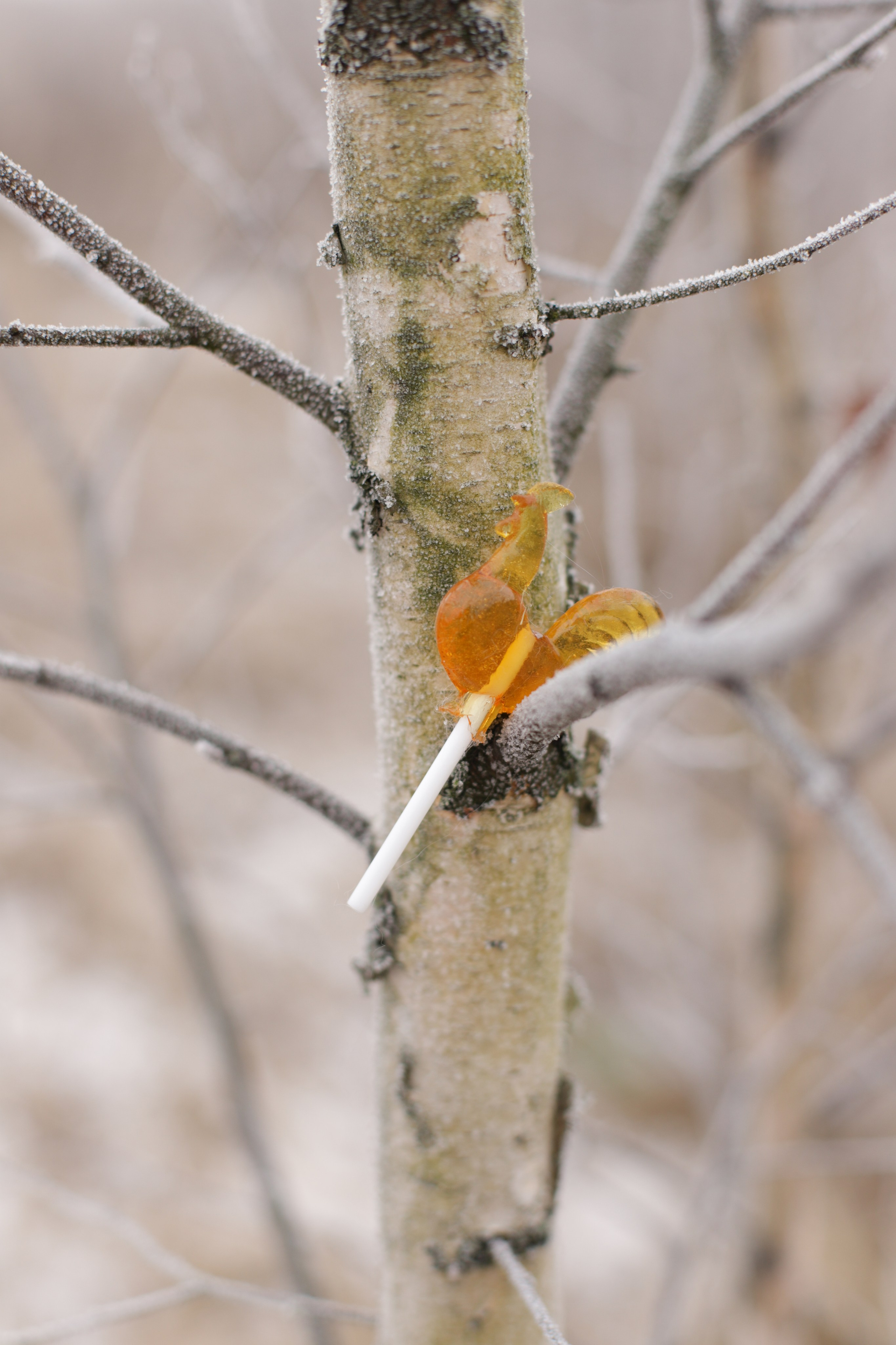 Зимняя сказка для девченок. Диана Николаева — фотограф город Балашиха