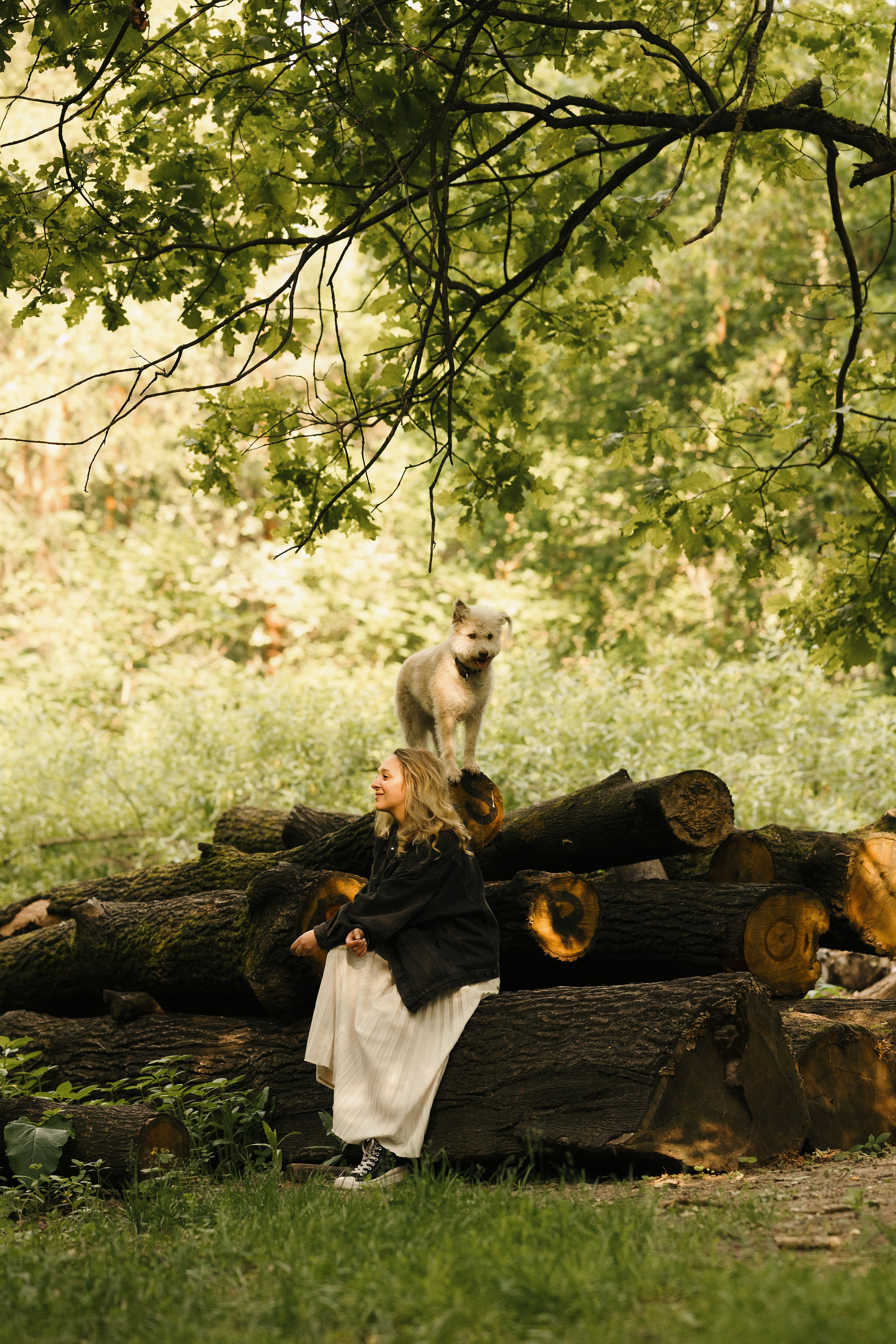 Акиро и Йоши. Фотограф- анималист Александра Матвеева