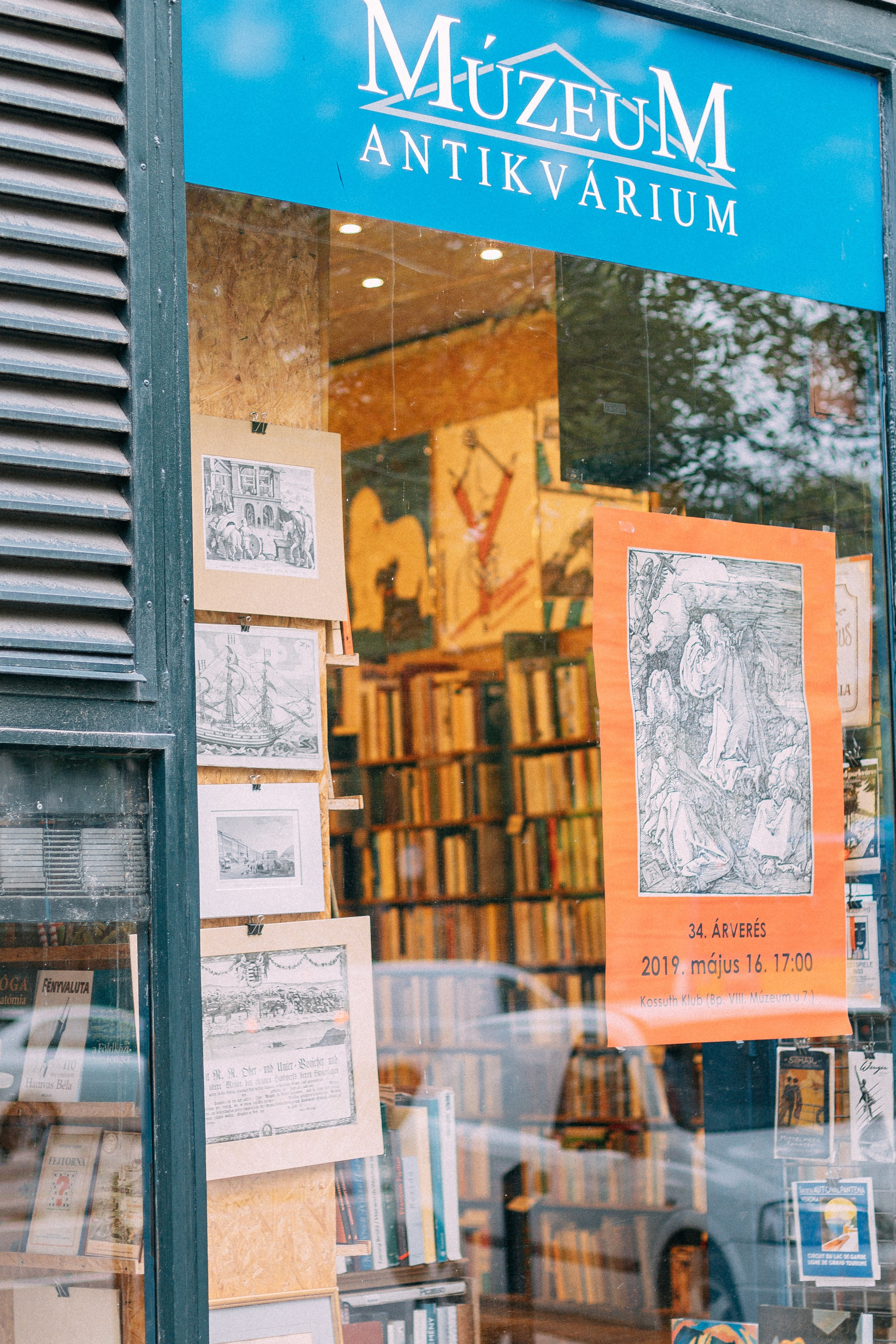 Будапешт. Аня Степанова