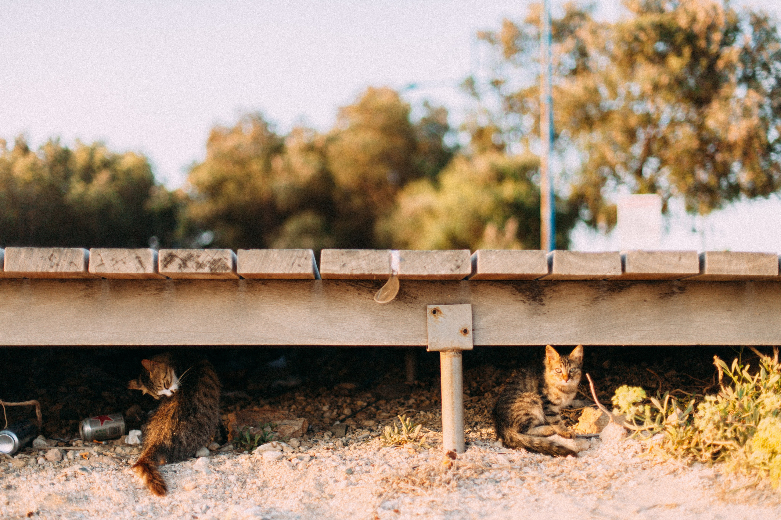 Кипр. Аня Степанова