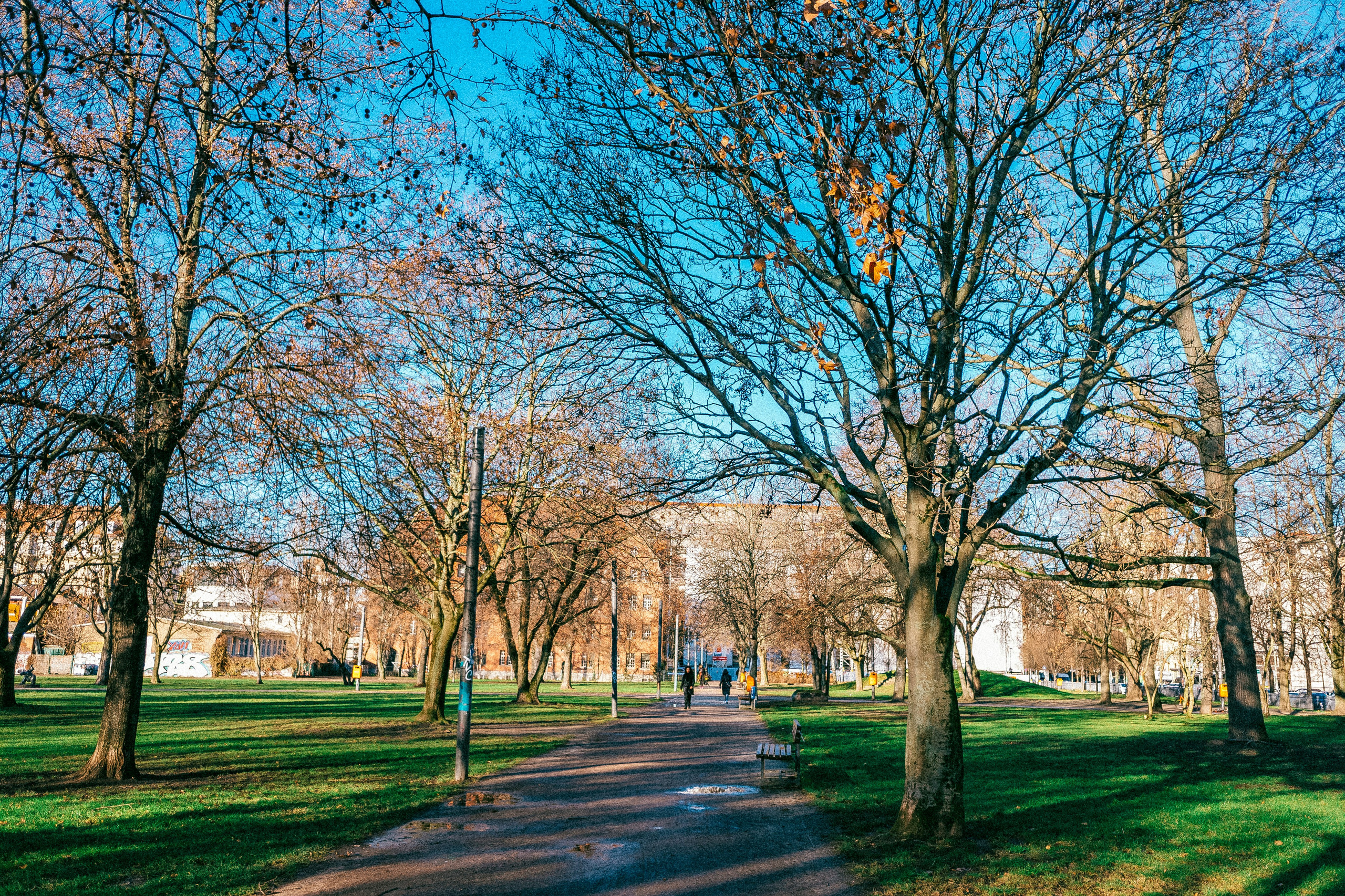 Берлин. Аня Степанова