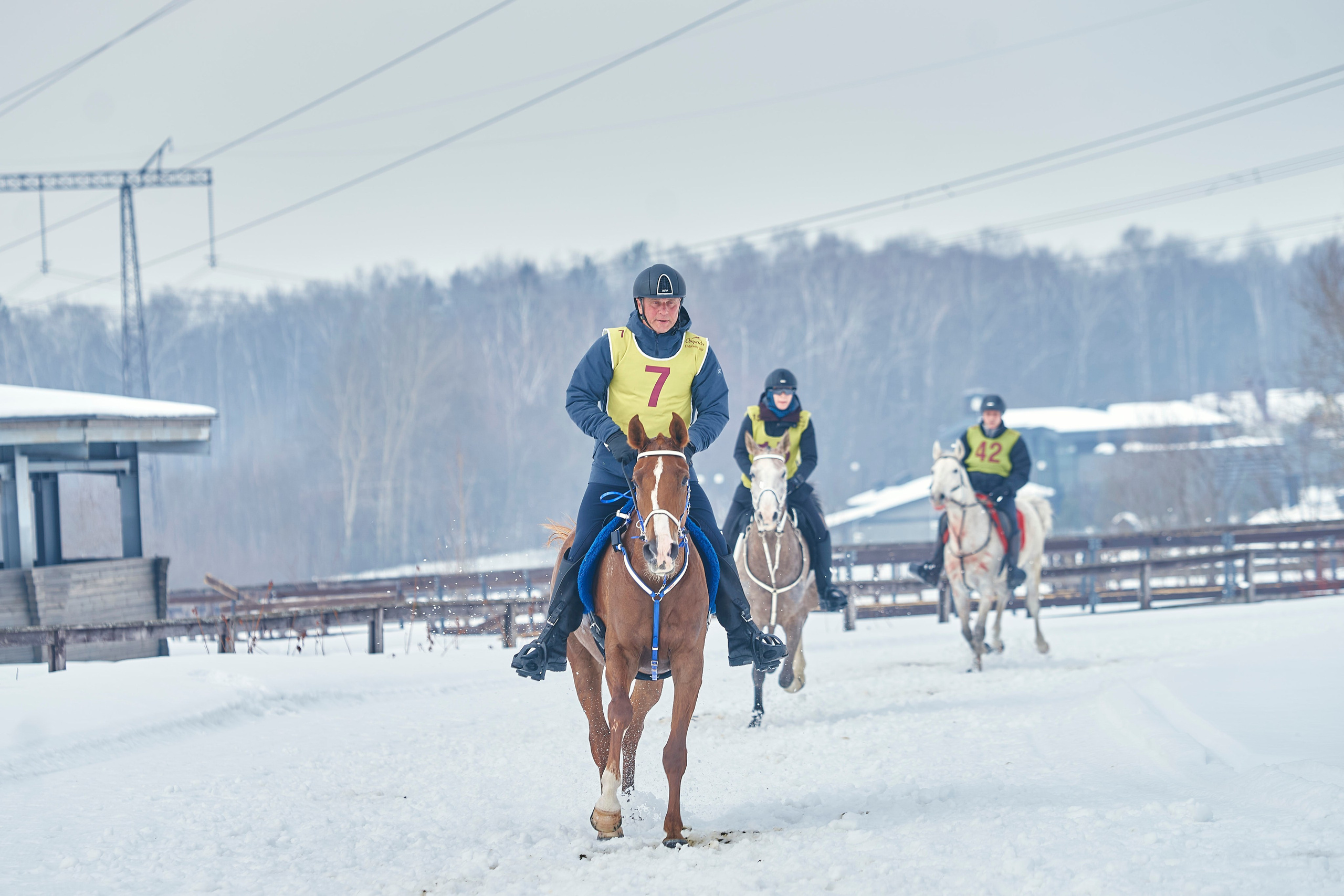 HORSE RACING. Фотограф Наталья Леонова
