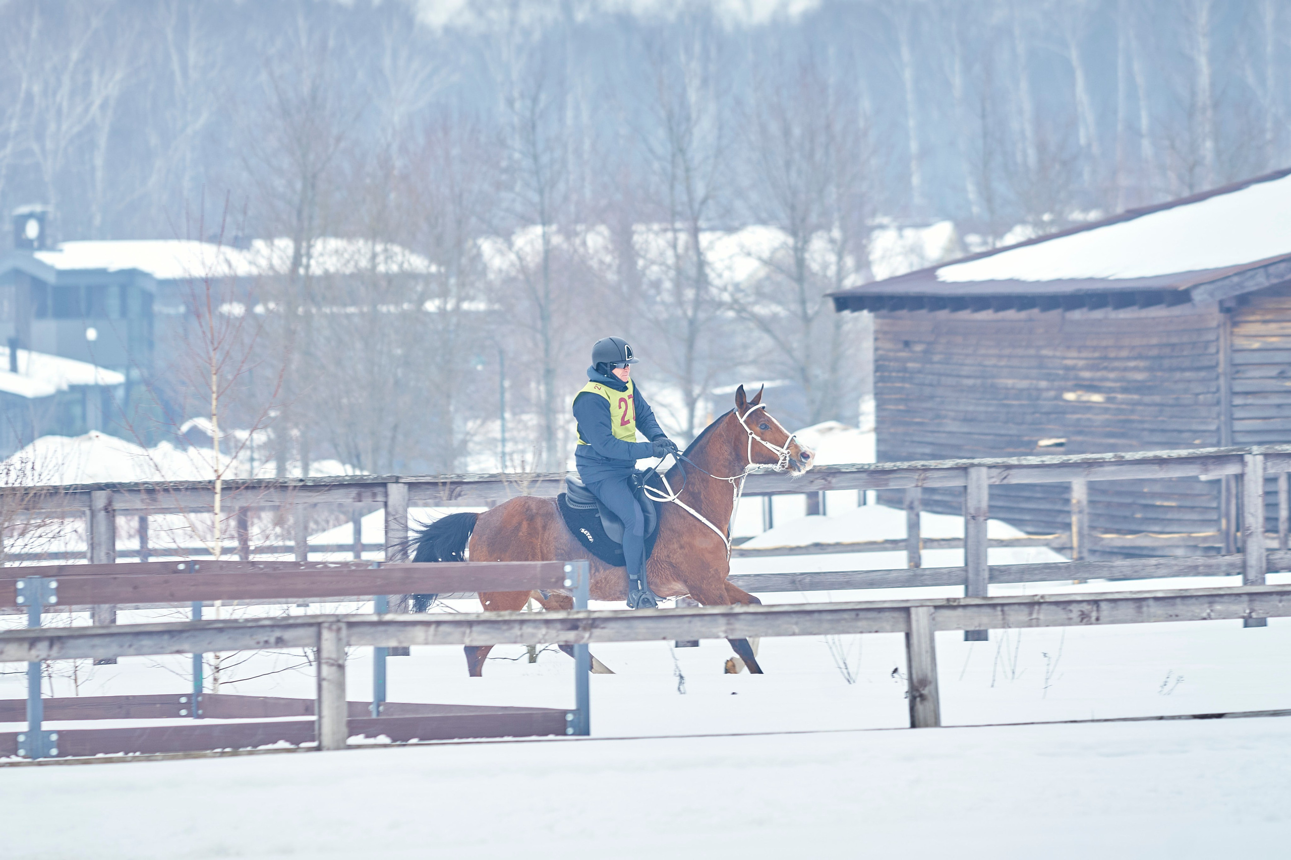 HORSE RACING. Фотограф Наталья Леонова