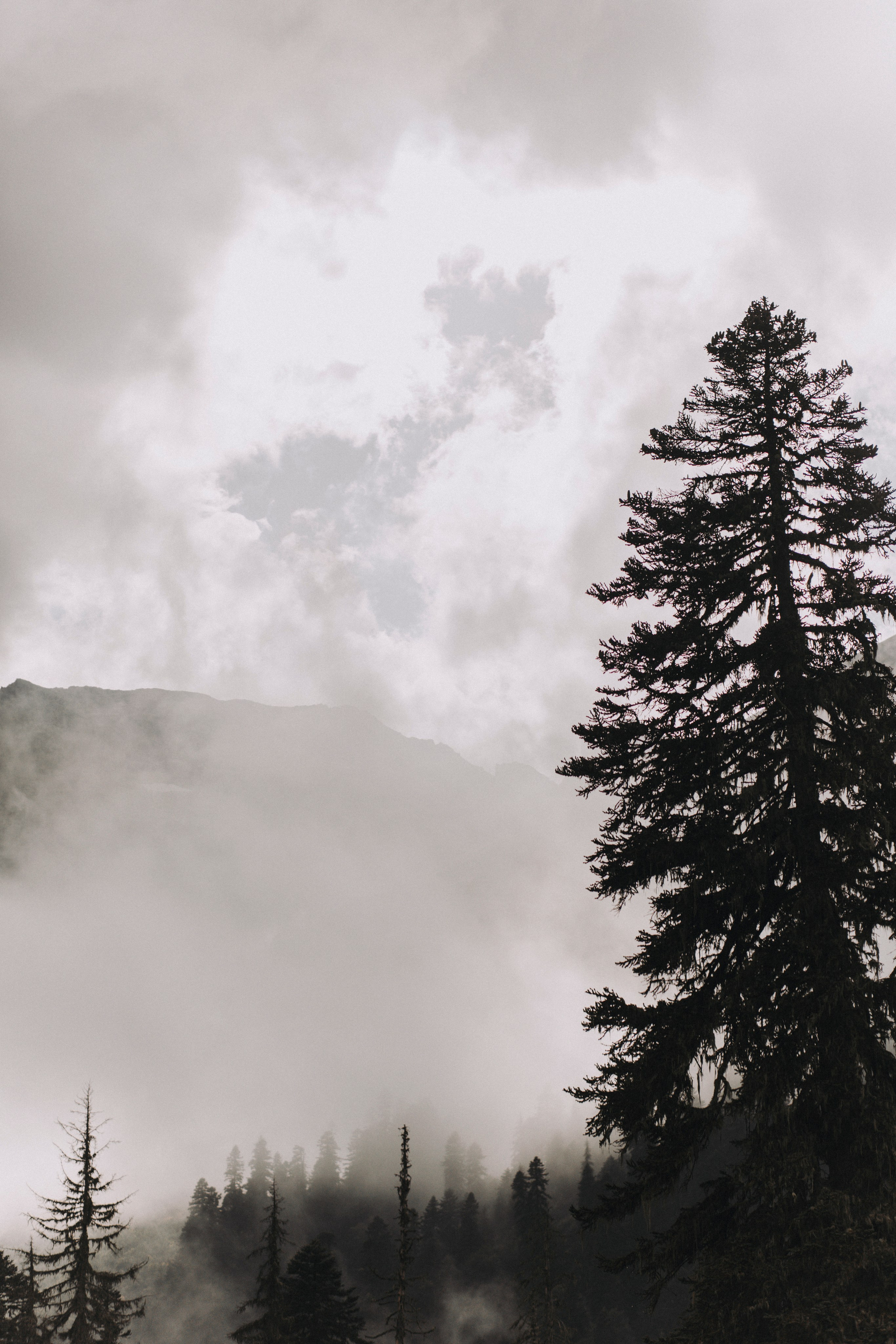 ЭТО НАШ ДЕНЬ. Фотограф Настя Конник | Пятигорск | Эльбрус | Домбай | Архыз