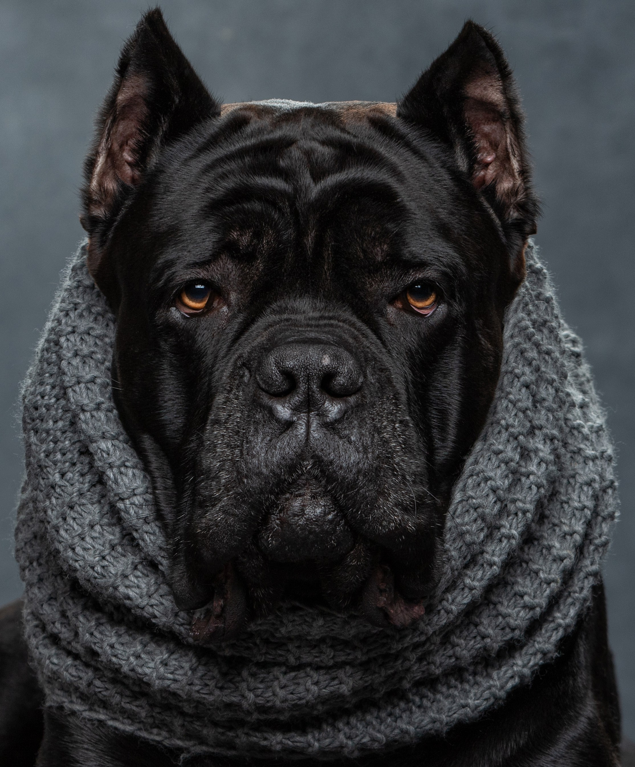 Фотограф-анималист Юлия Зубкова