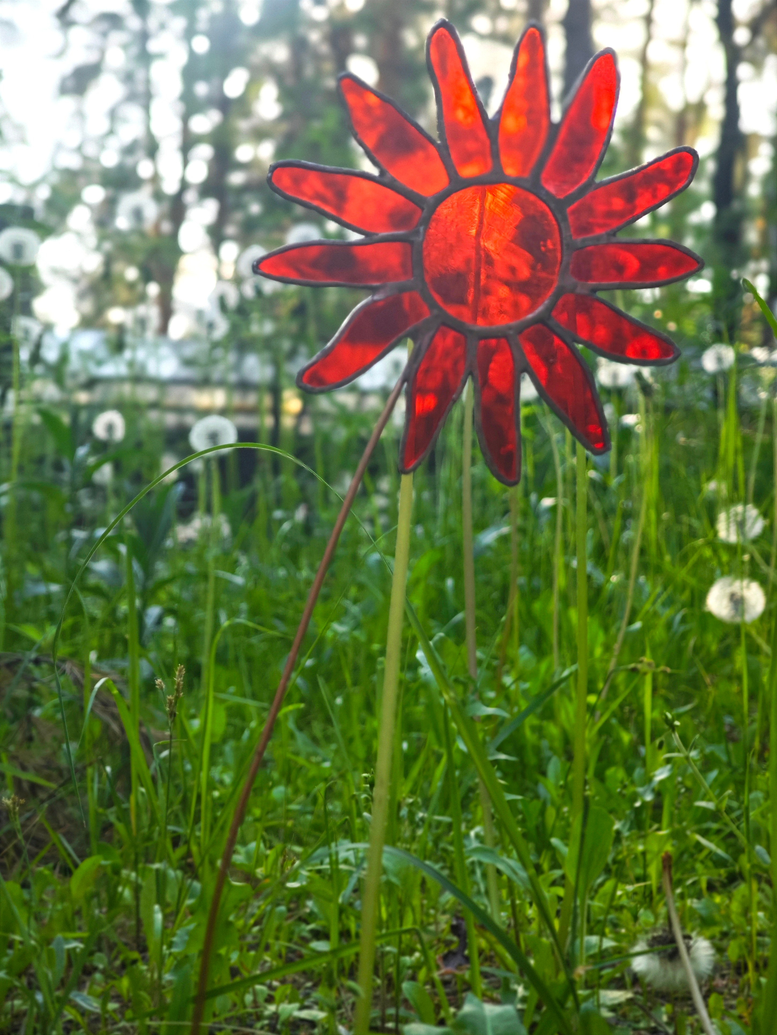 Ботаника. Официальный сайт художника Перепеченовой Анны