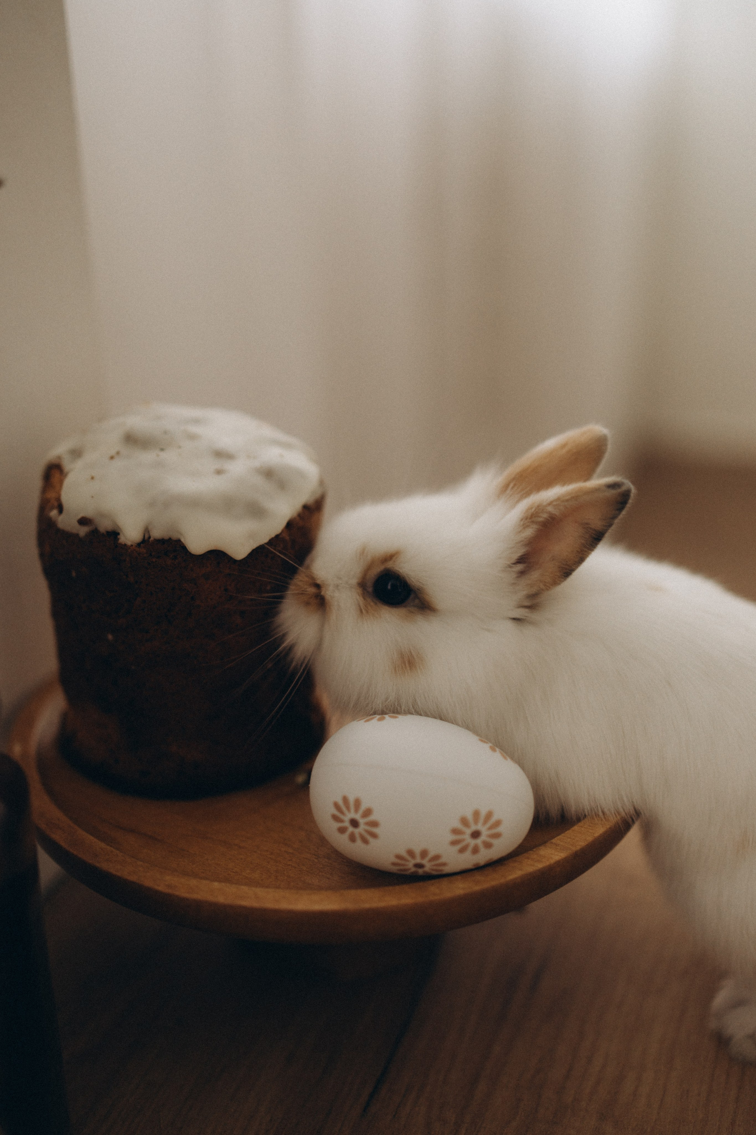 Пасхальная история. Фотограф в Иваново и Суздале