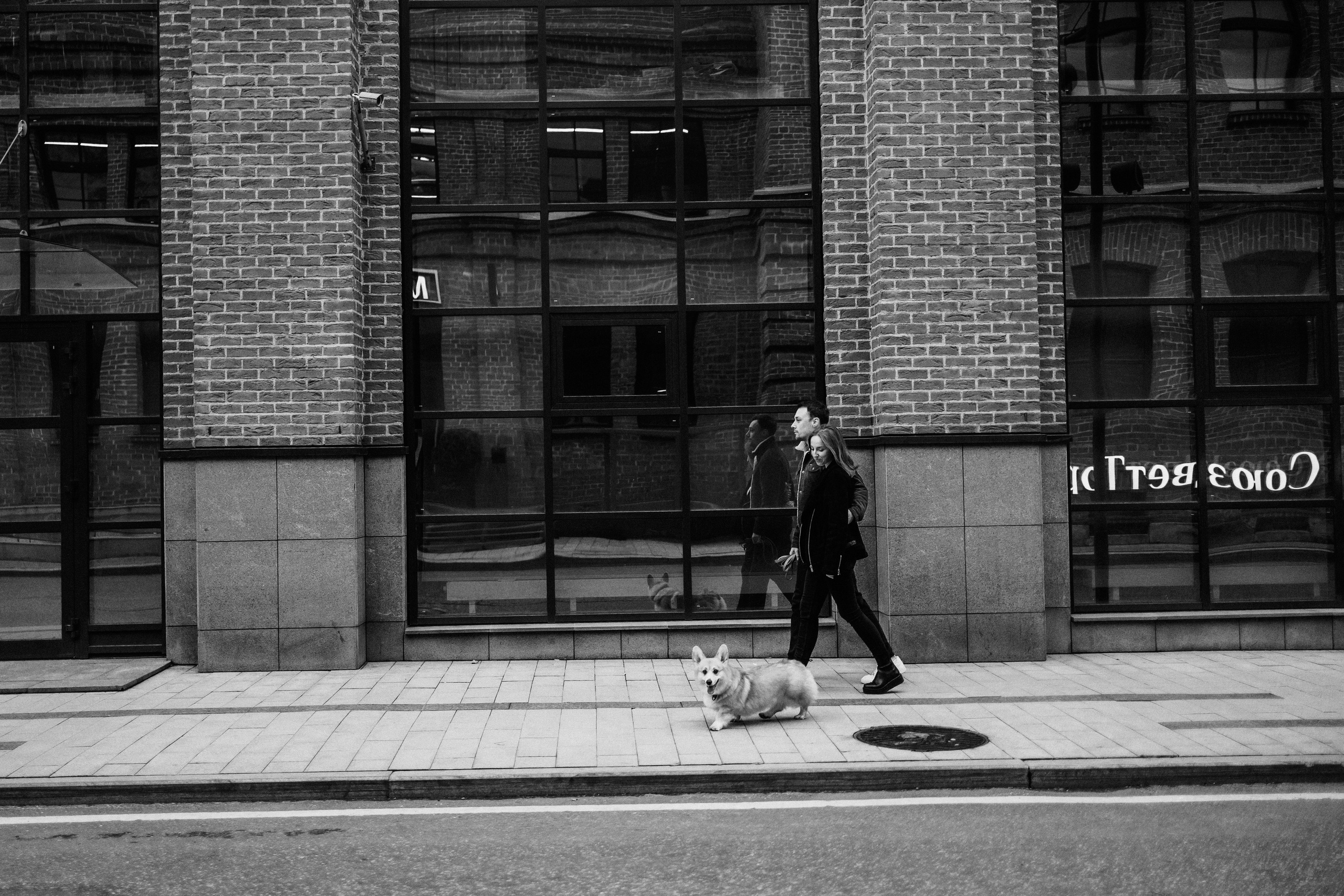 Вера, Саша и Муна. Фотограф-анималист Елена Радченко, Москва