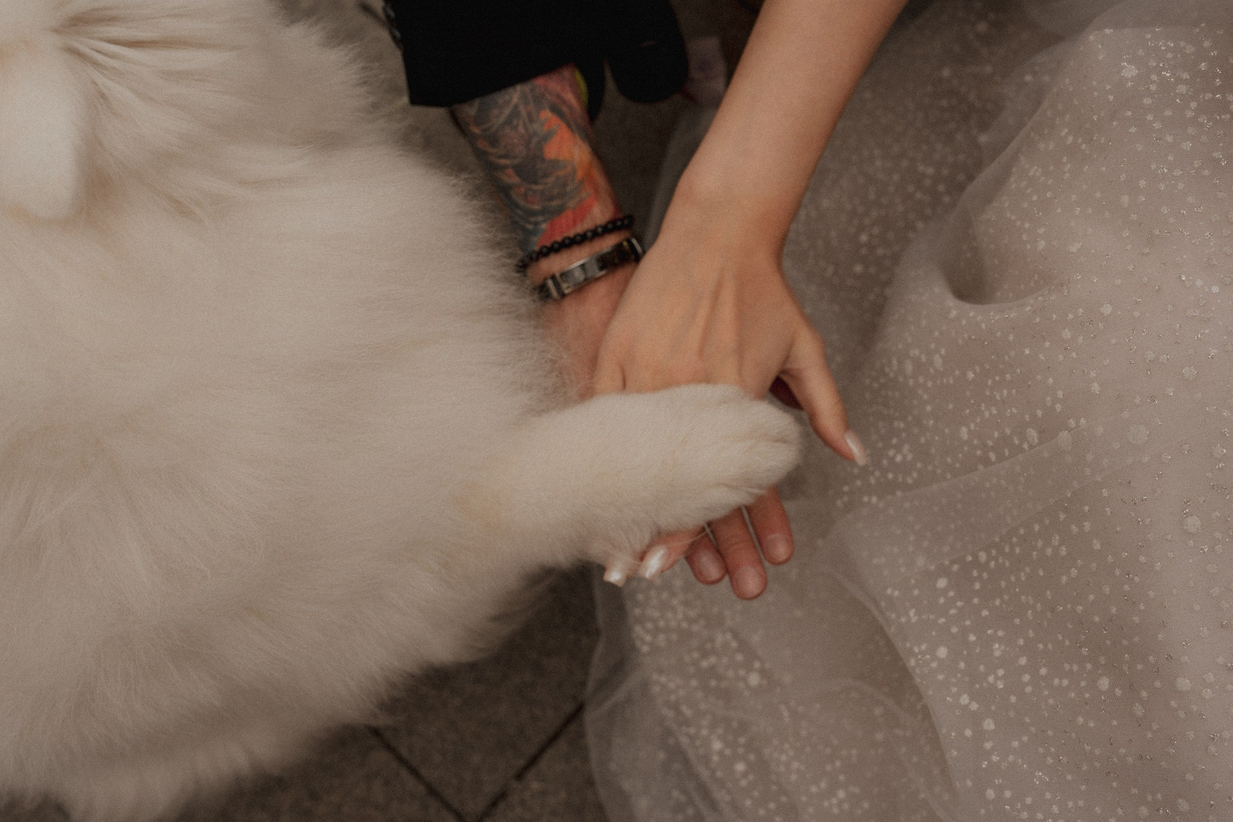 Д ♡ Е — Пушистая верность и клубника на торте. Свадебный и портретный фотограф в Москве, Светлана Янковая