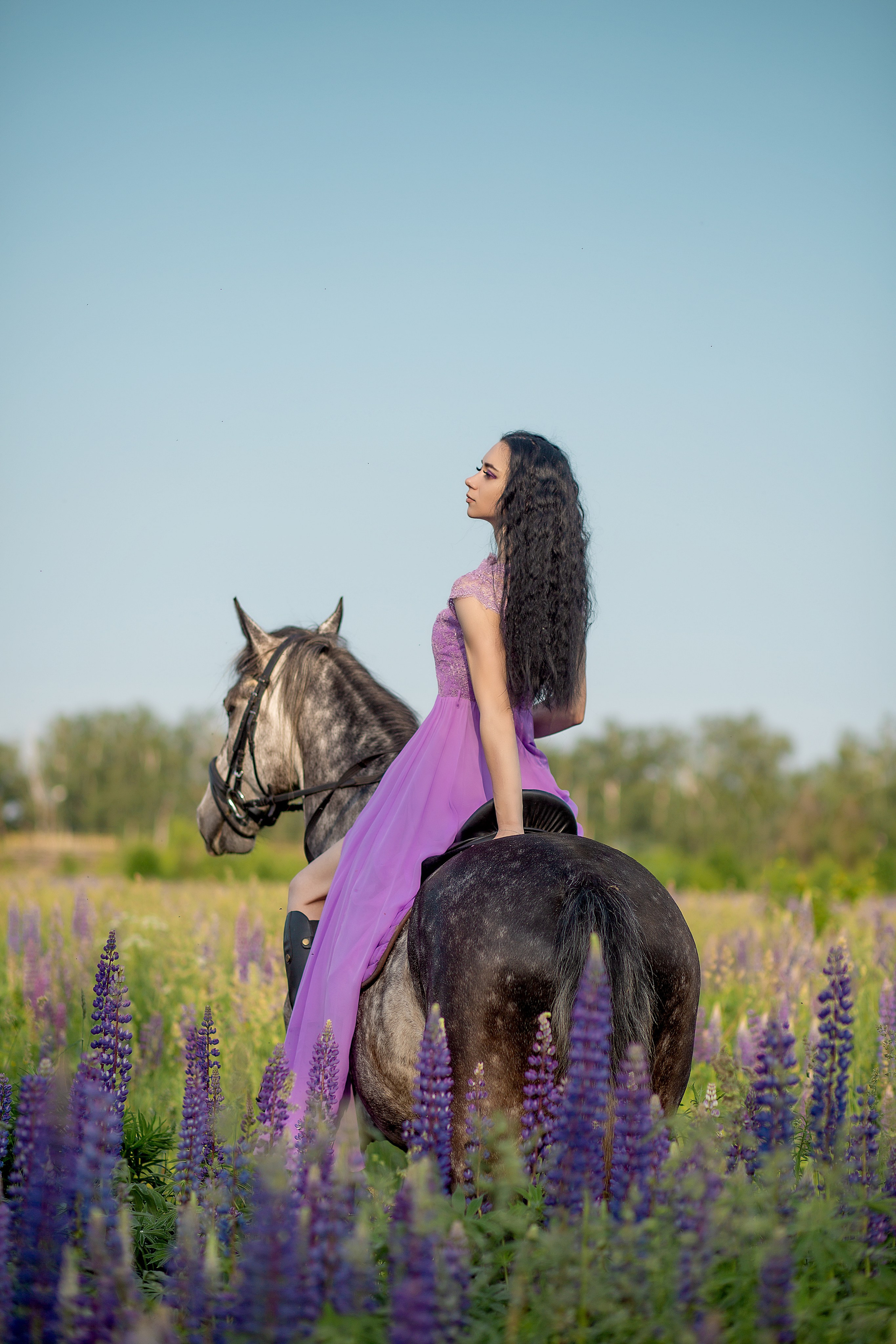 Надежда и Пророк. Фотосессия с лошадьми в Нижнем Новгороде