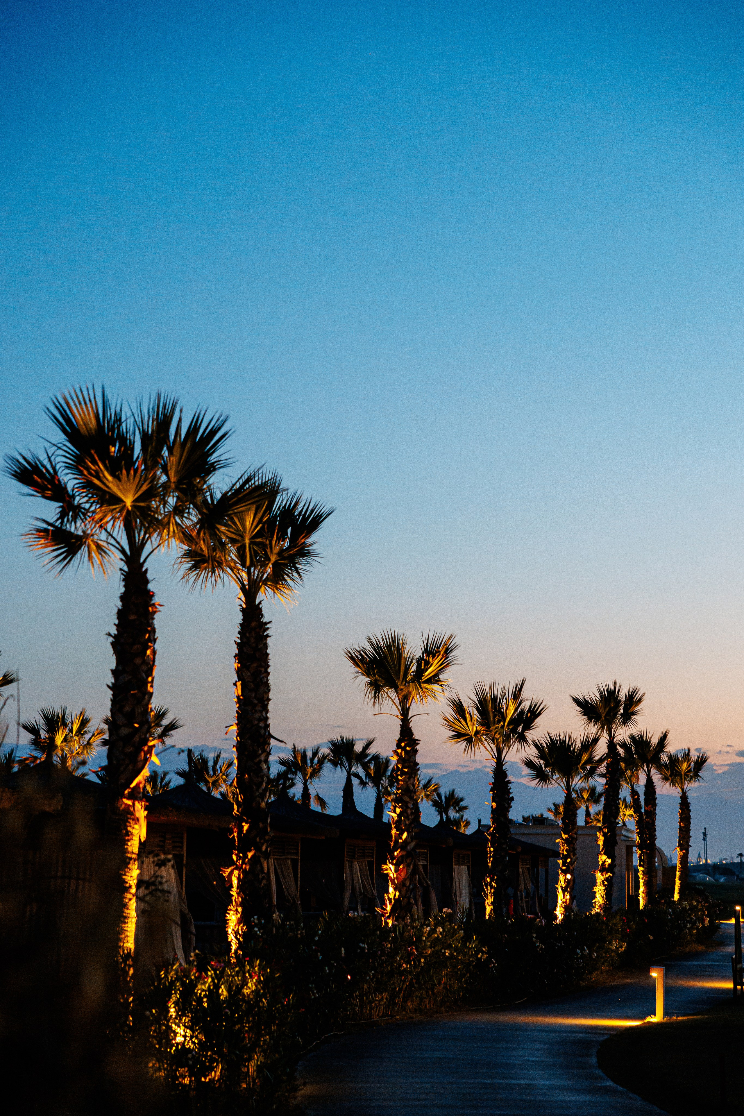 EVENT PHOTO. Фото и видео съёмка в Санкт-Петербурге