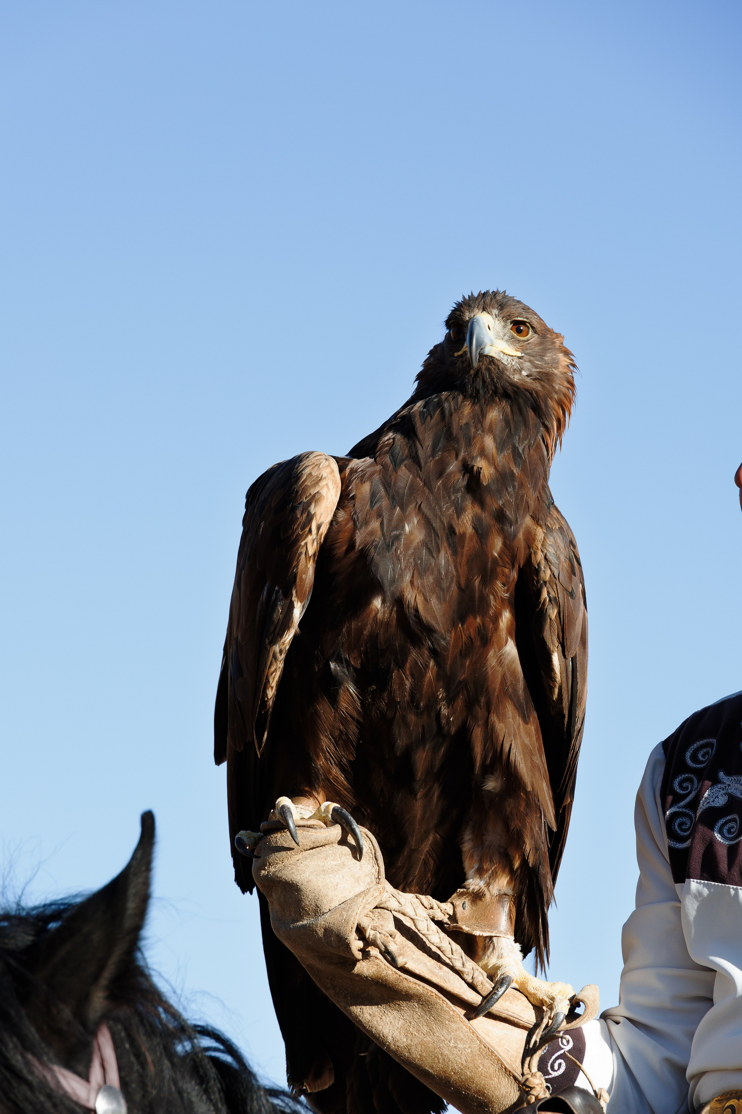 Кыргызстан | travel-репортаж. Портретный фотограф Москва | Елена Столиванова
