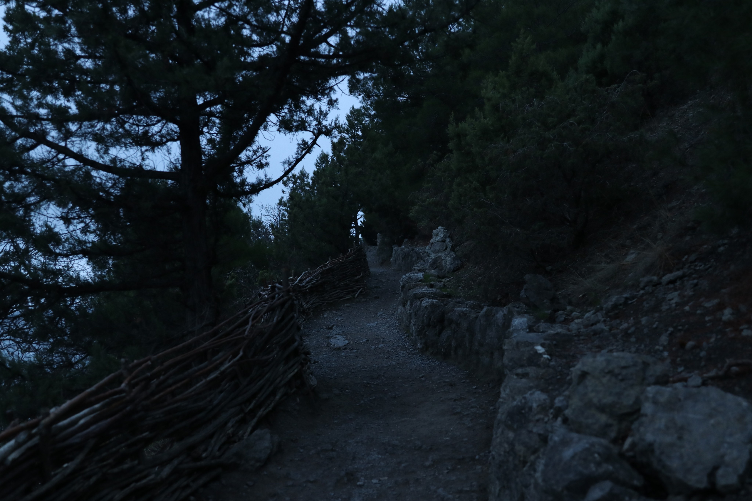 Крым. ЮБК (Гурзуф, Судак и их окрестности). Ноябрь 2023. Путешественник-фотограф из Санкт-Петербурга Татьяна Свистулина