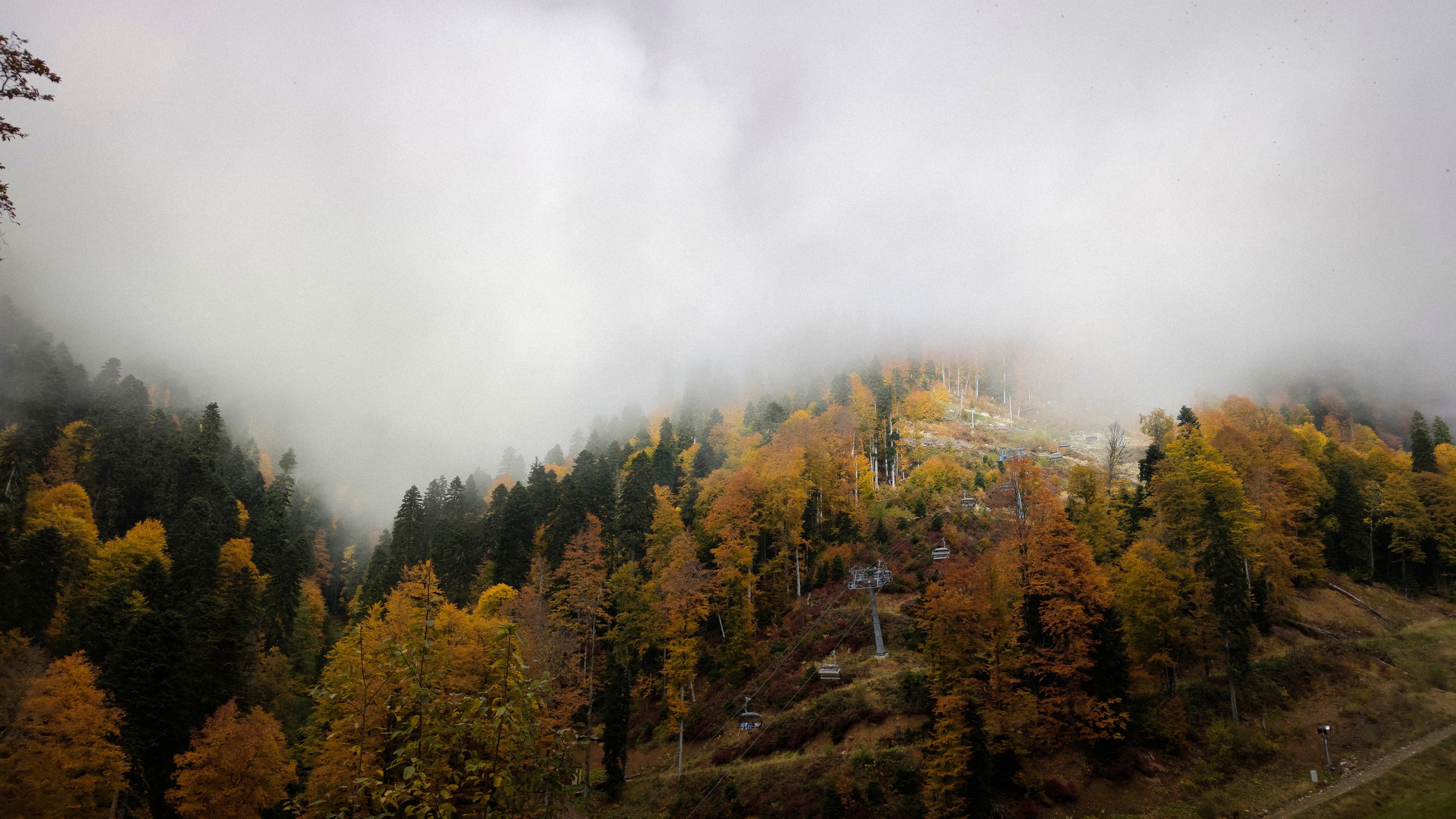 Роза Хутор. Kartascheff