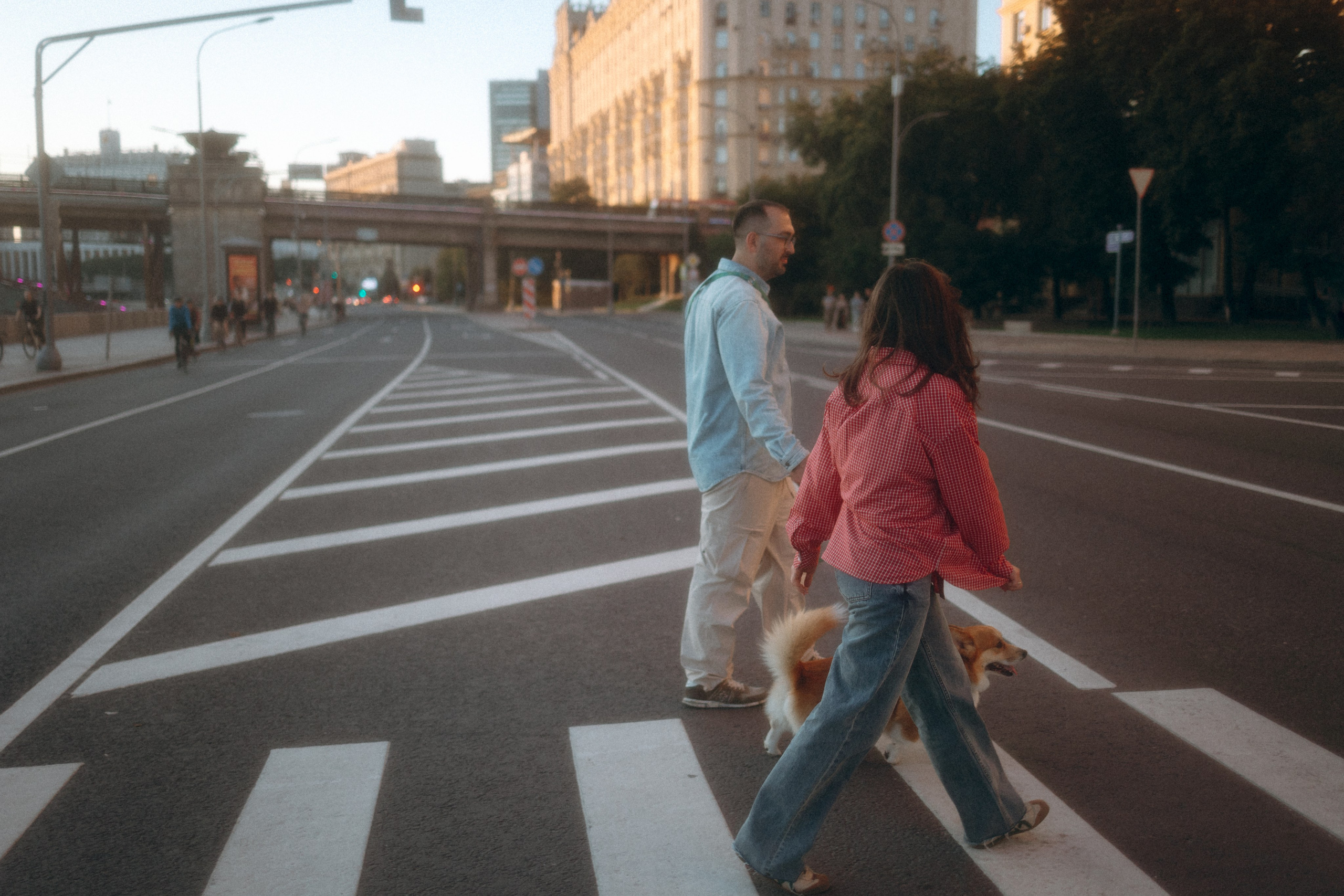 Момо, Люда и Эд. Фотограф анималист Анастасия Пикей