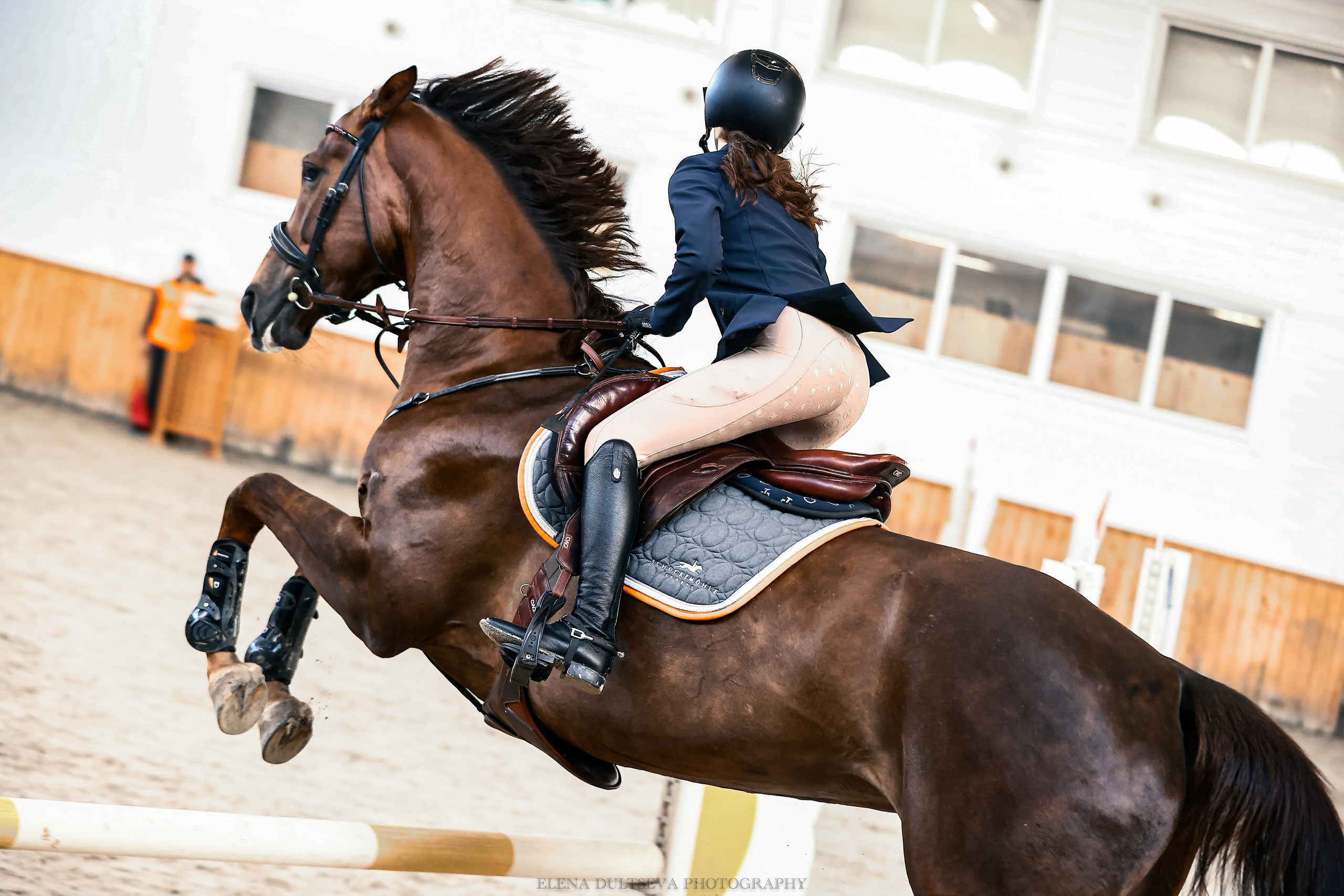 ТЕСТ 1. Конный фотограф Елена Дульцева