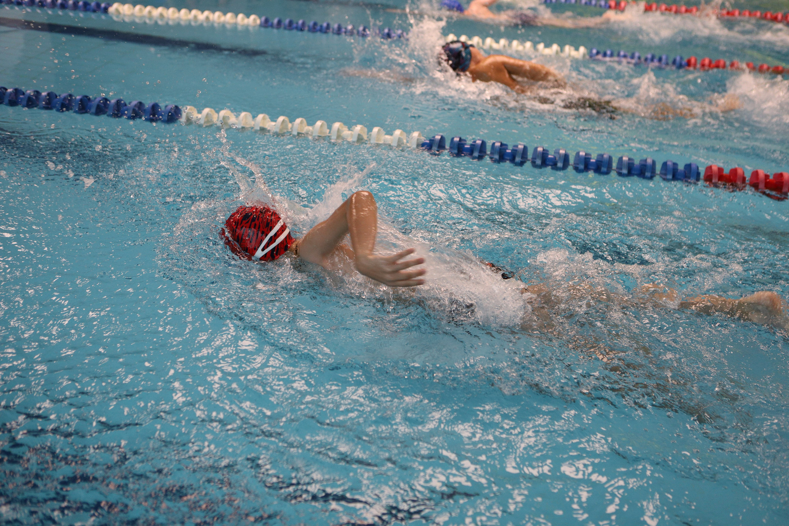 Соревнования по плаванию. Фотограф Москва — Сергеева Анастасия