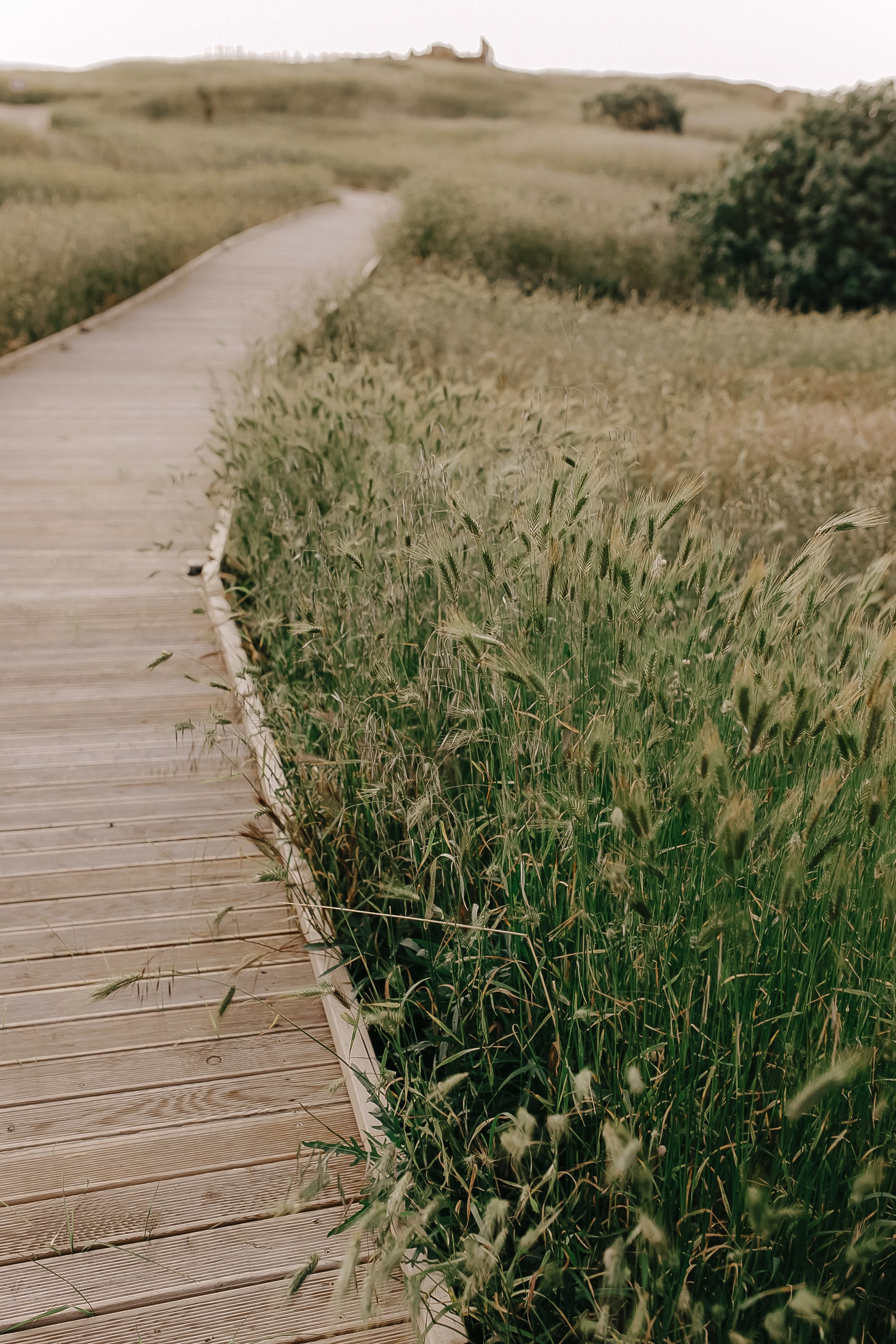 Портретная фотосессия в Крыму и Севастополе: портфолио | Tanya Sher. Свадебный фотограф в Севастополе и Крыму| Tanya Sher