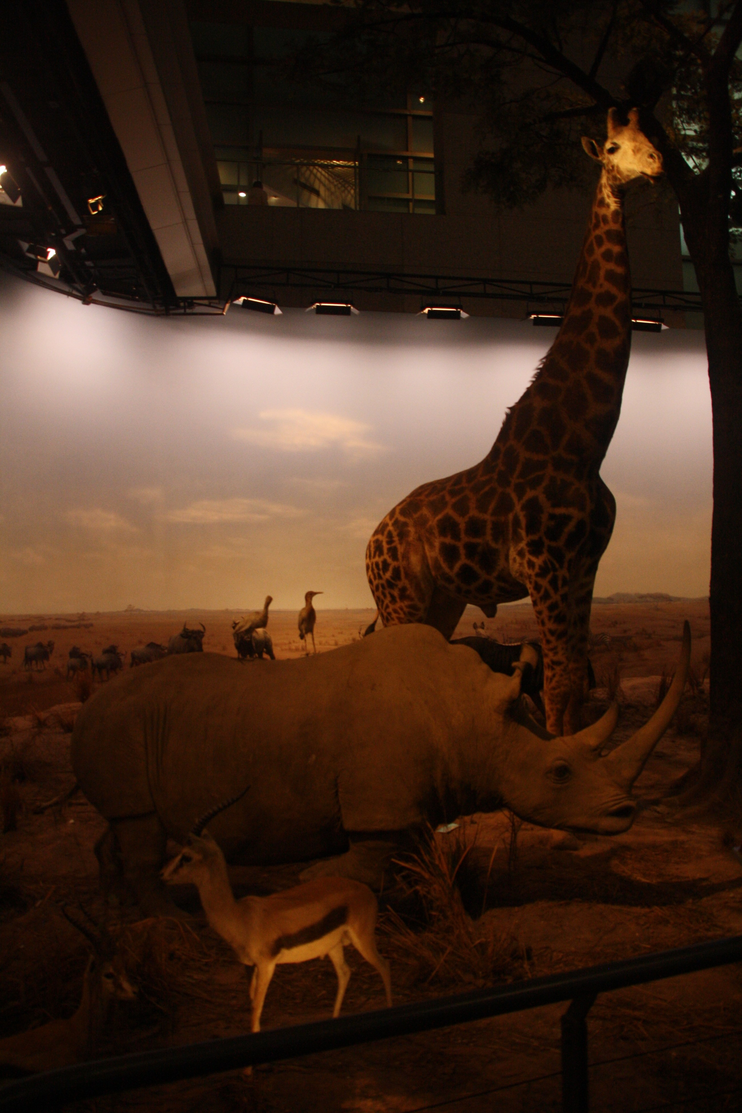 Шанхай. Фотограф Алексей Федорищев