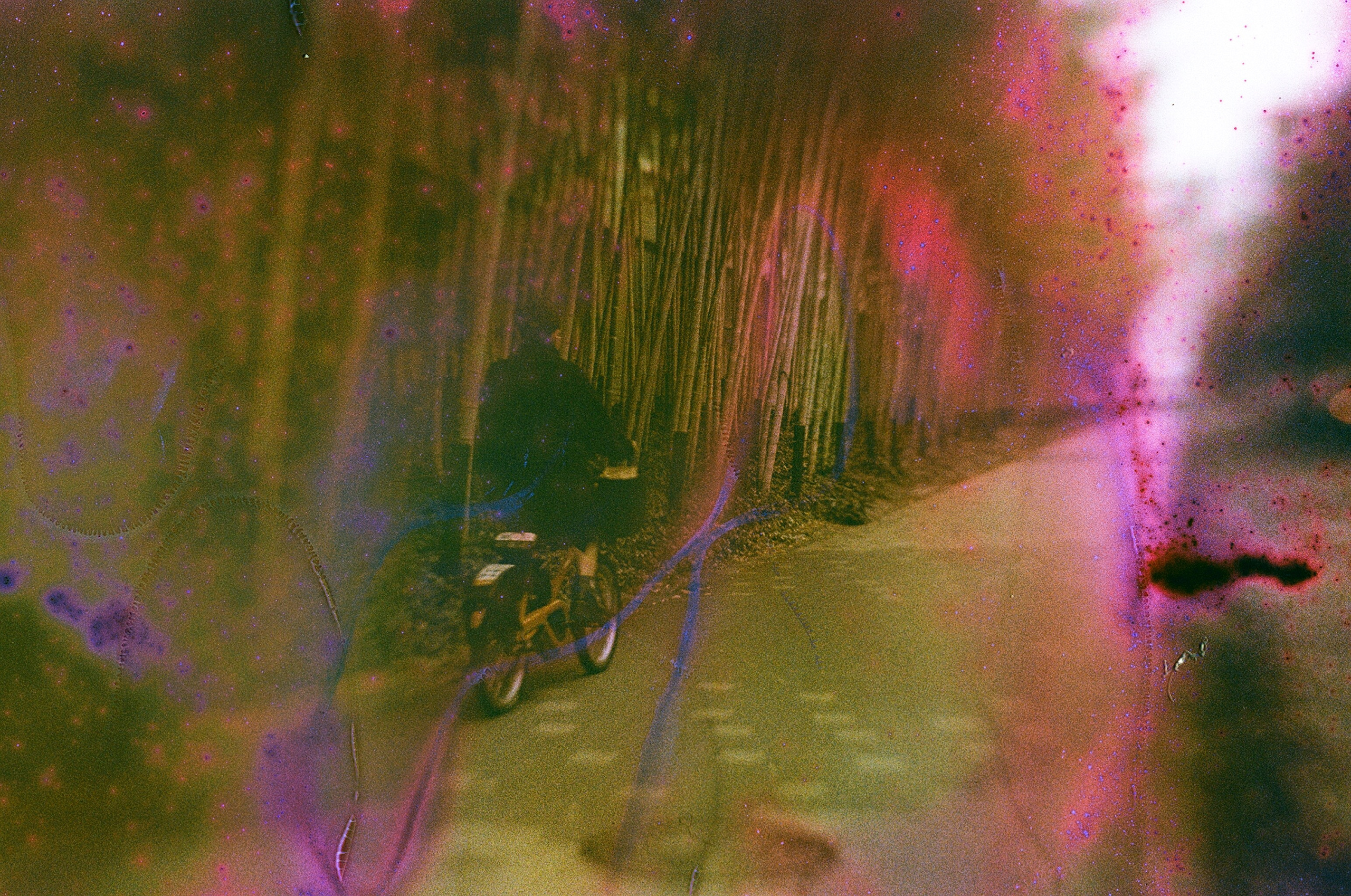 JAPAN FILM. International visual artist