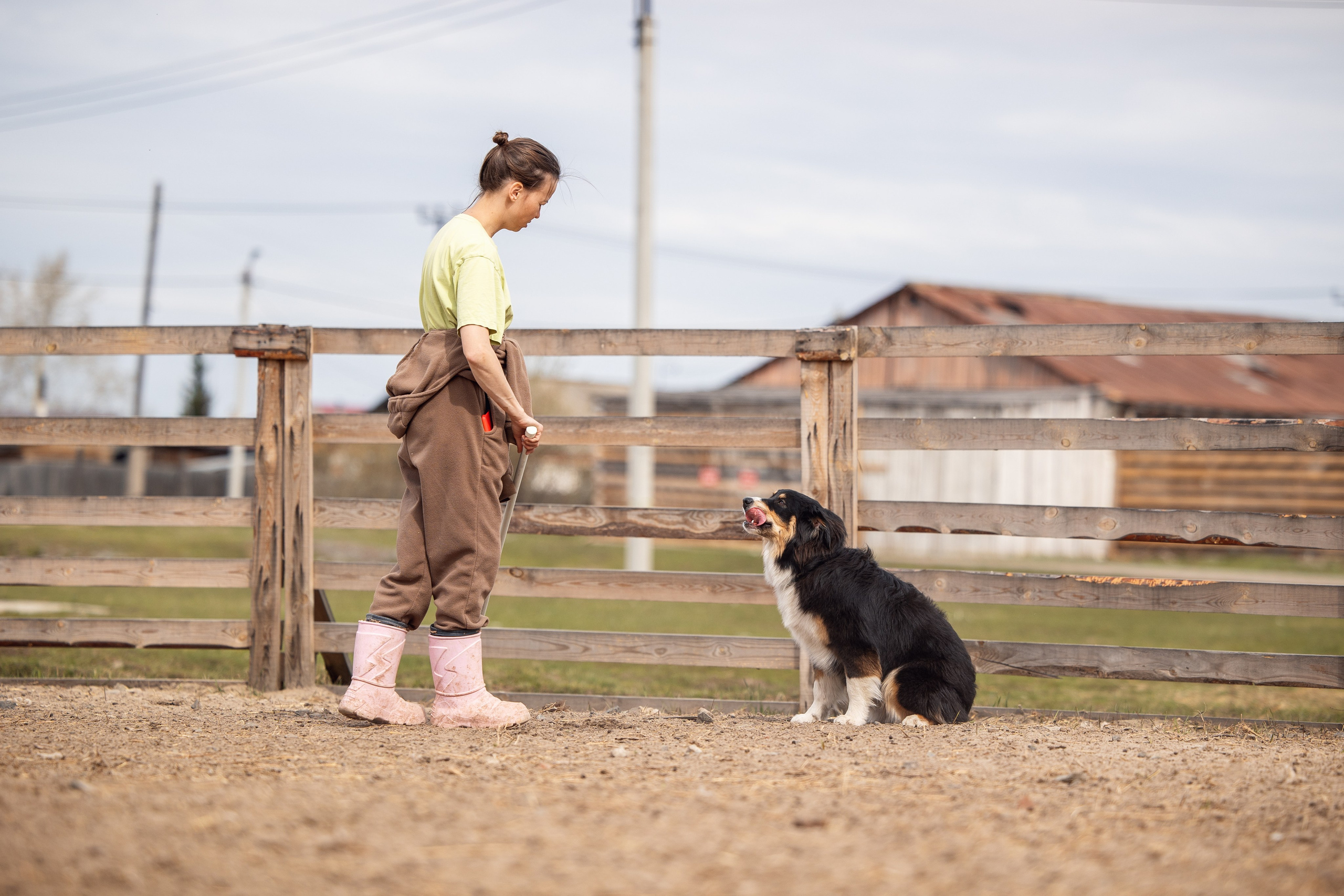 Ночь. YULA KOLESOVA | Фотограф — Анималист | Художник | Тюмень